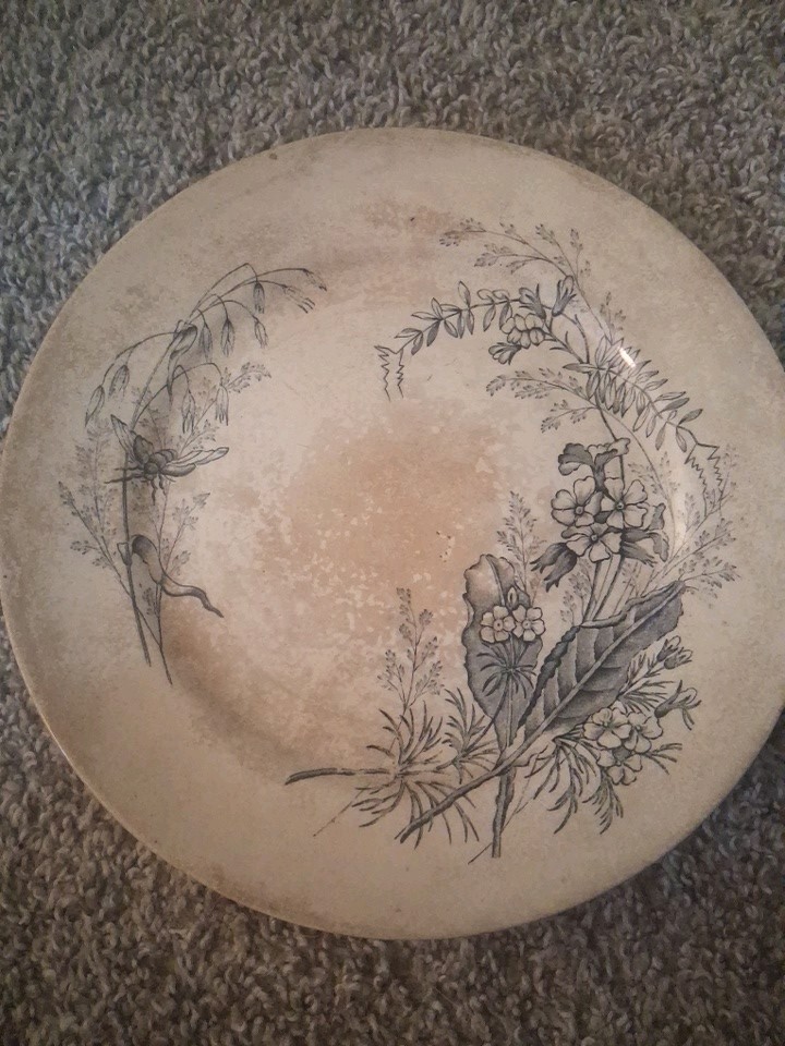 Ashworth Brothers Black Transferware Victoria Plate Ironstone. Vintage,  stamped