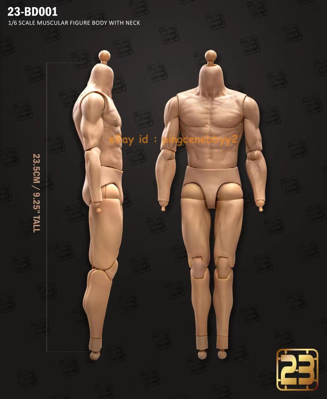 1/6 Muscular Male Action Figure Body BD001-6 for 12\