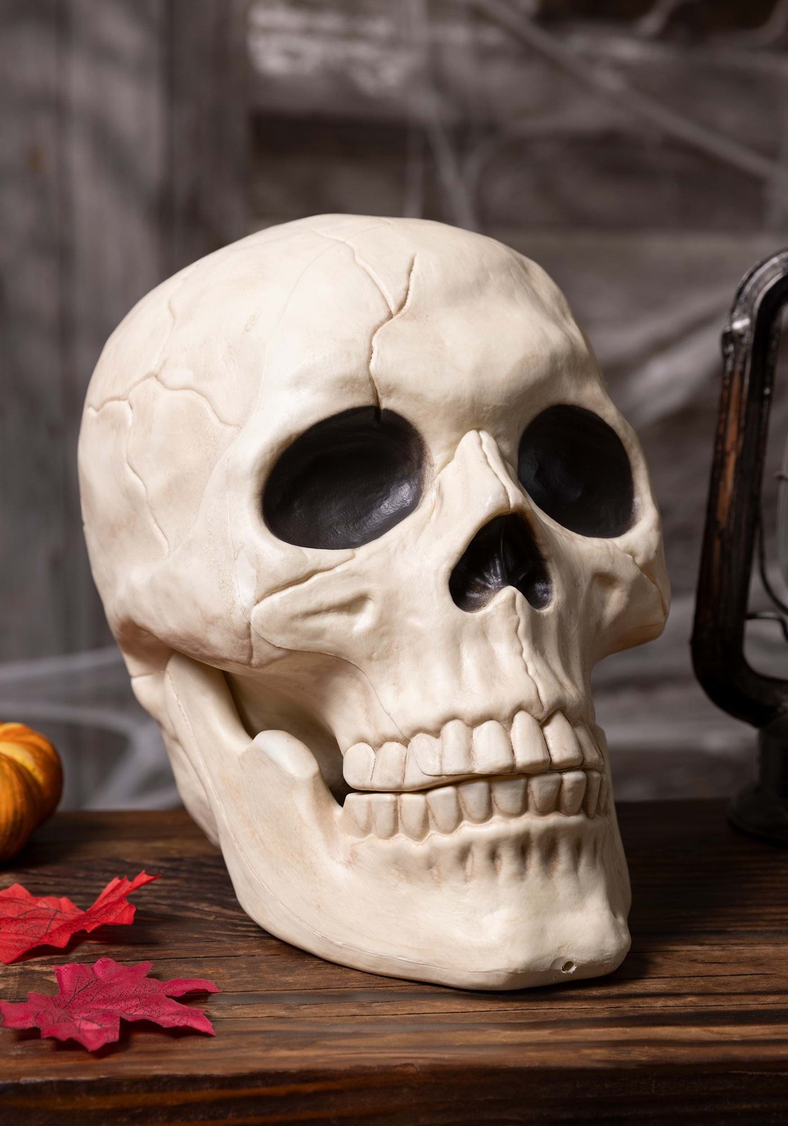 Large Skull Large Skull