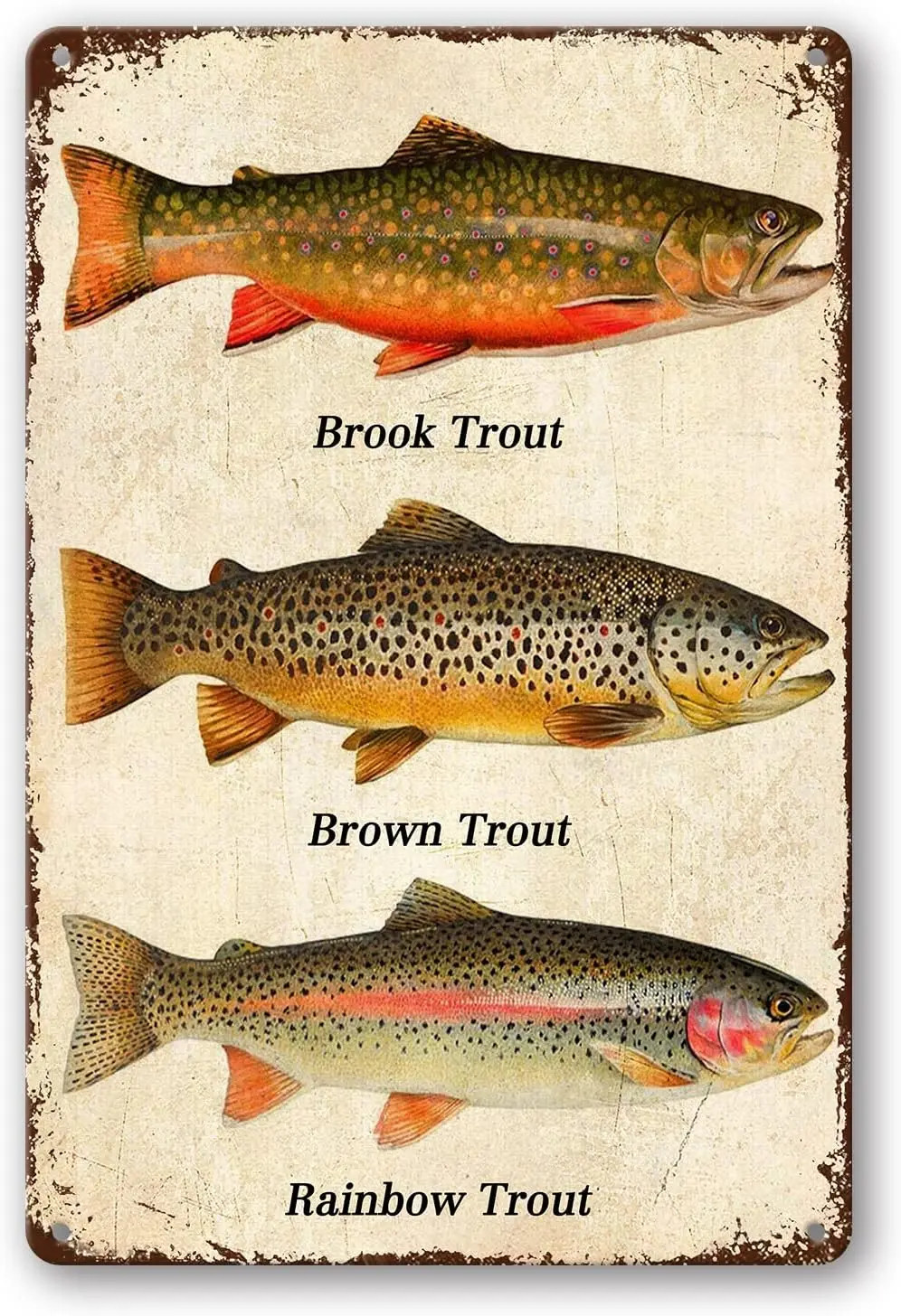 Fish Rainbow Trout Brook Trout Brown Trout Tin Metal Signs Home Décor Vintage W Fish Rainbow Trout Brook Trout Brown Trout Tin Metal Signs Home Décor Vintage W