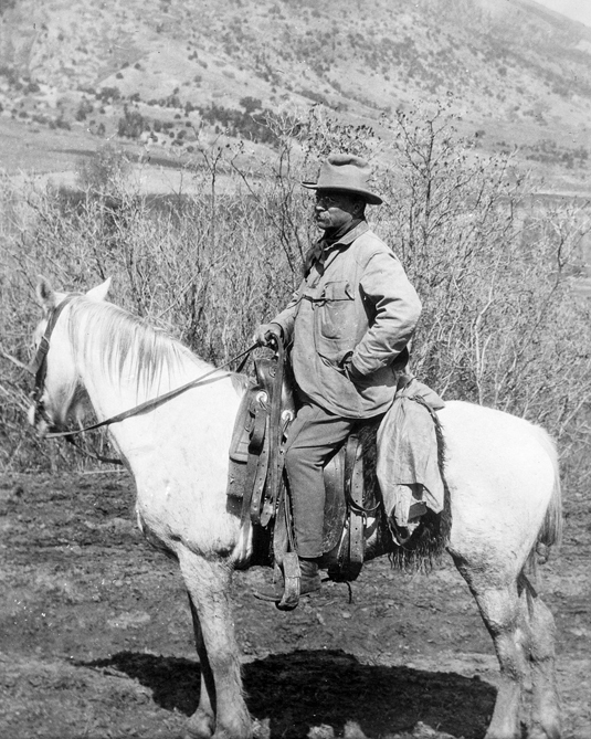1910 THEODORE 'TEDDY' ROOSEVELT Glossy 8x10 Photo President at Badlands Print 1910 THEODORE 'TEDDY' ROOSEVELT Glossy 8x10 Photo President at Badlands Print