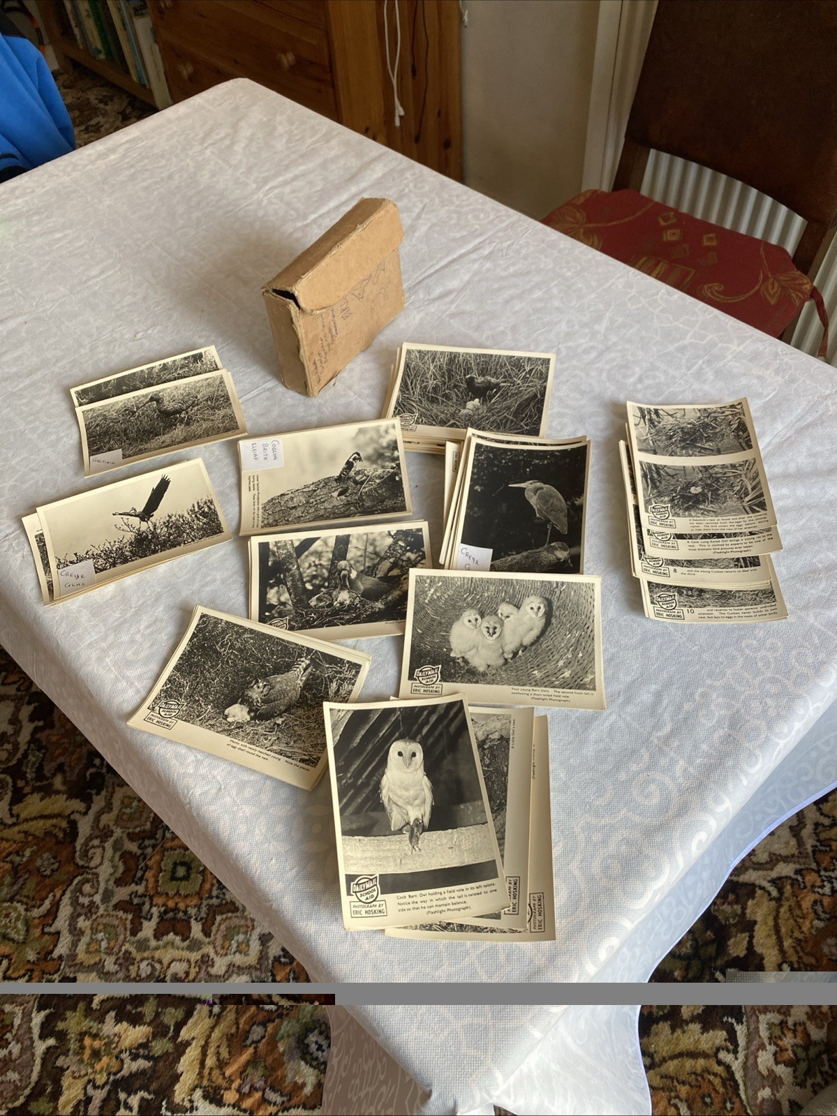 Vintage Daily Mail School-Aid x 86 Bird Photos \\ Cards 11x16cm by Eric Hoskings