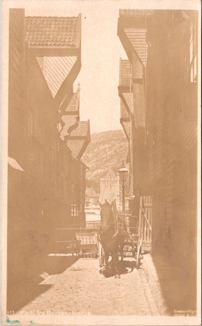 Postcard Norway Vestland Bergen Bryggen Horse Carriage Street View Vintage