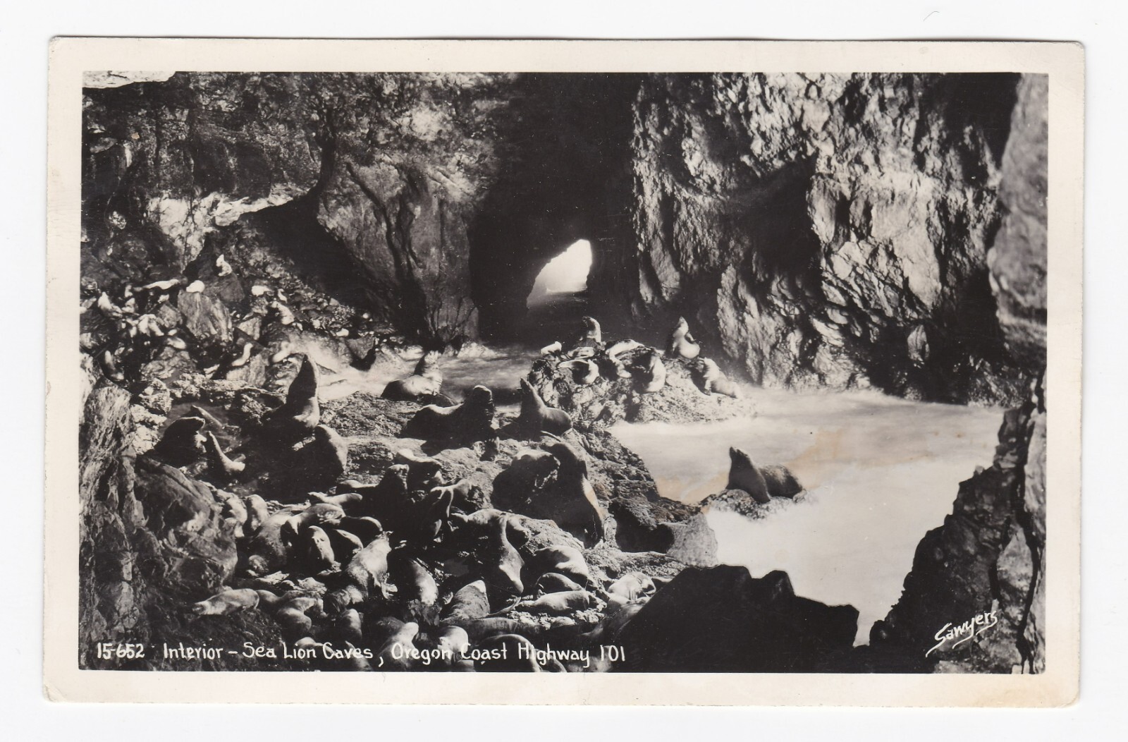Interior View Sea Lion Caves Oregon Coast Highway 101 RPPC Real Photo Postcard Interior View Sea Lion Caves Oregon Coast Highway 101 RPPC Real Photo Postcard