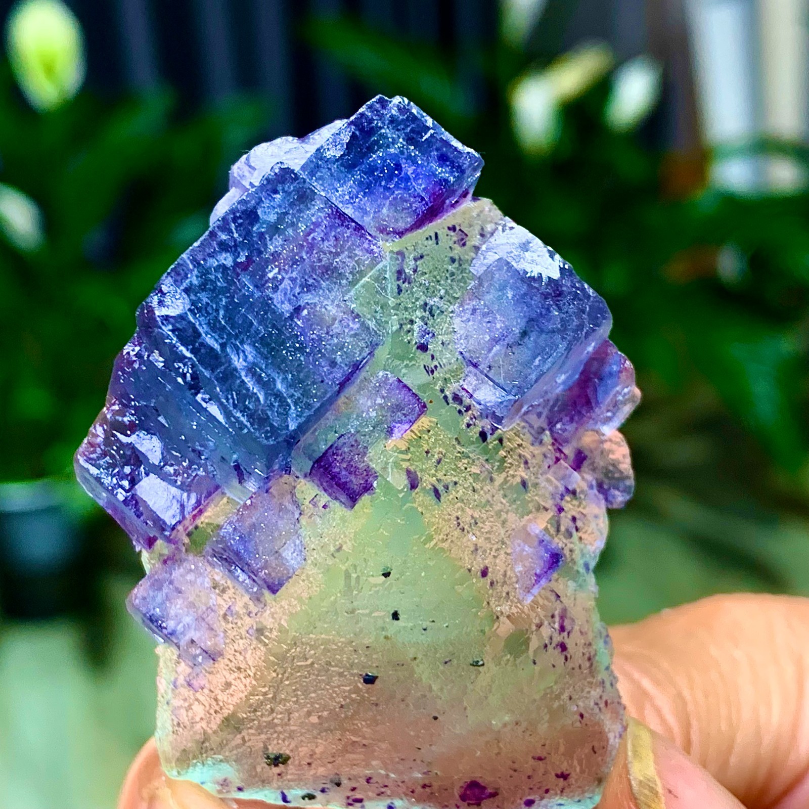 59G Natural green purple cubic Zhejiang fluorite mineral sample crystal