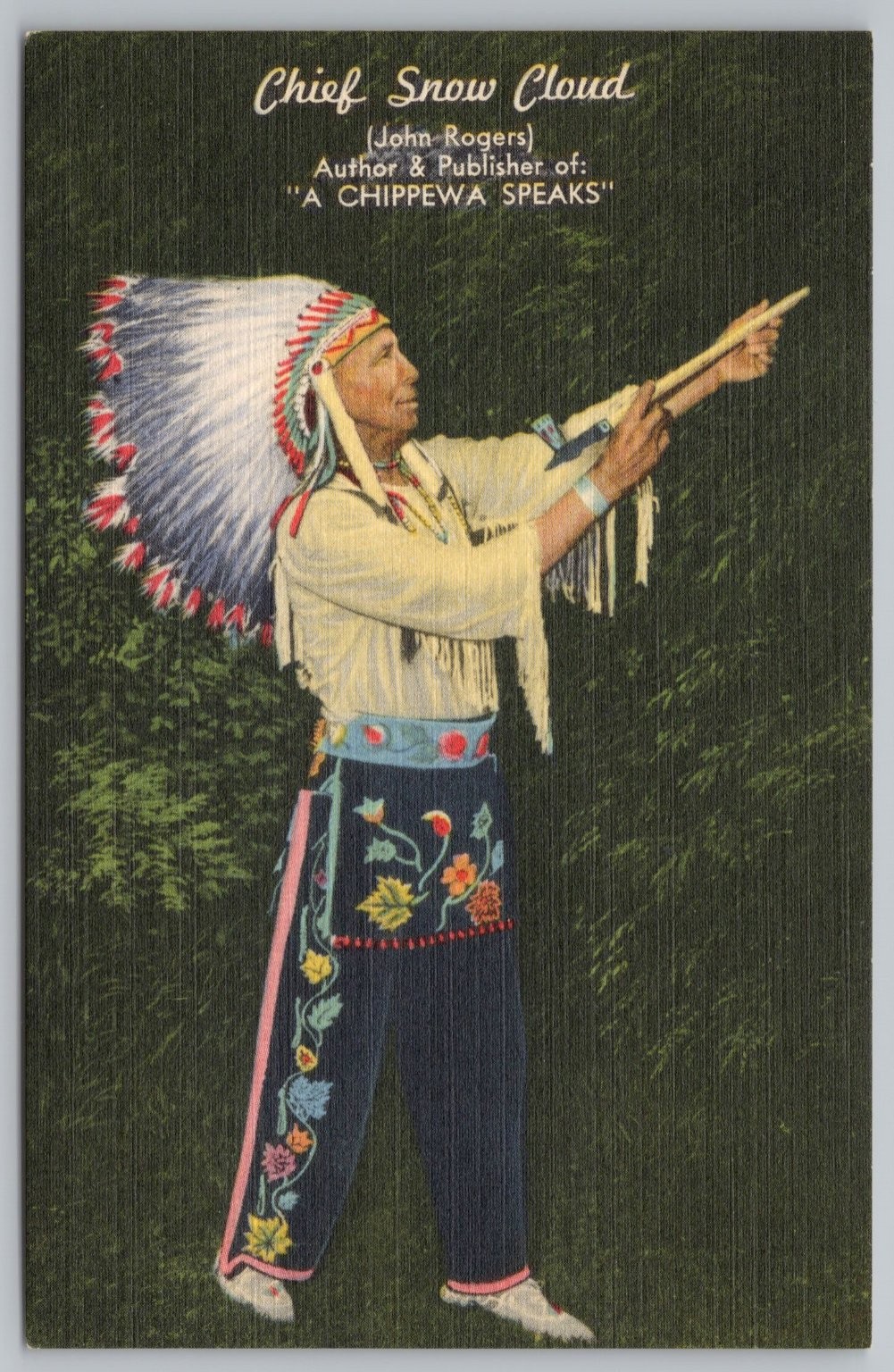 Chief Snow Cloud Chippewa Indian Northen Minnesota Linen Postcard Tichnor UNP