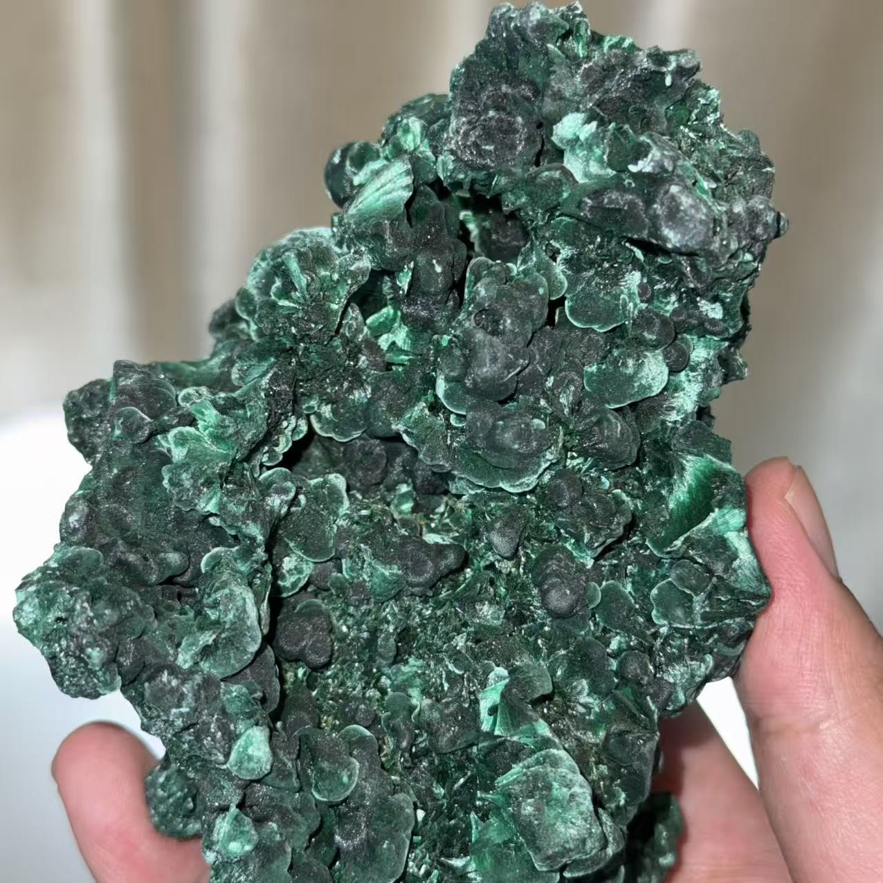 635g A++Natural Velvet Malachite Mineral Specimen Collectible Crystal Healing