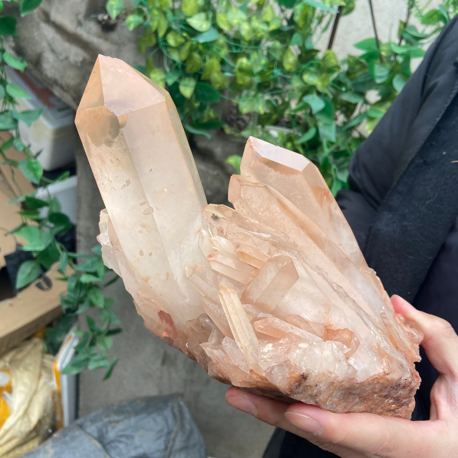 8.8LB A++Large Natural clear white Crystal Himalayan quartz cluster /mineralsls