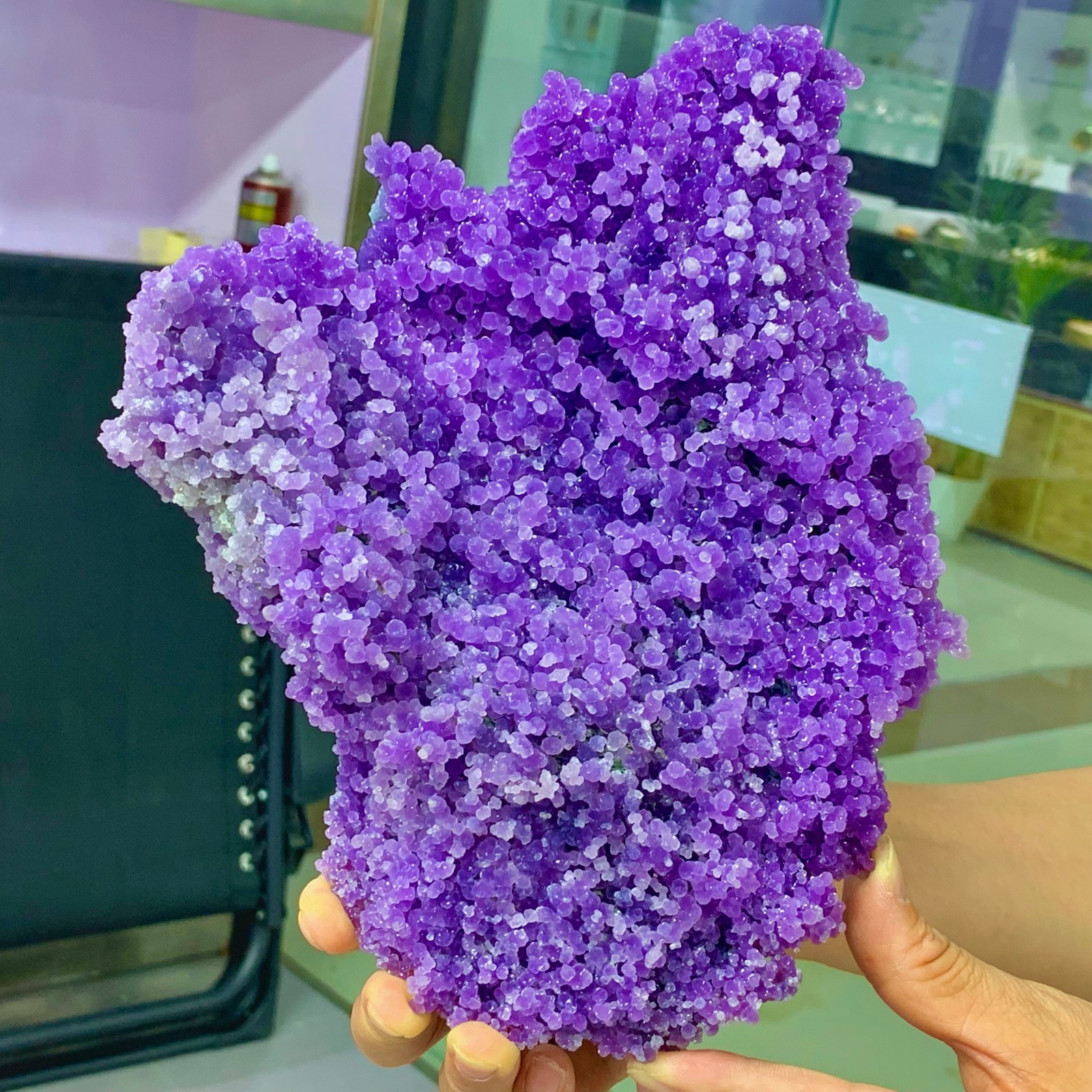 3.52LB Natural purple grape agate quartz crystal granular mineral specimen