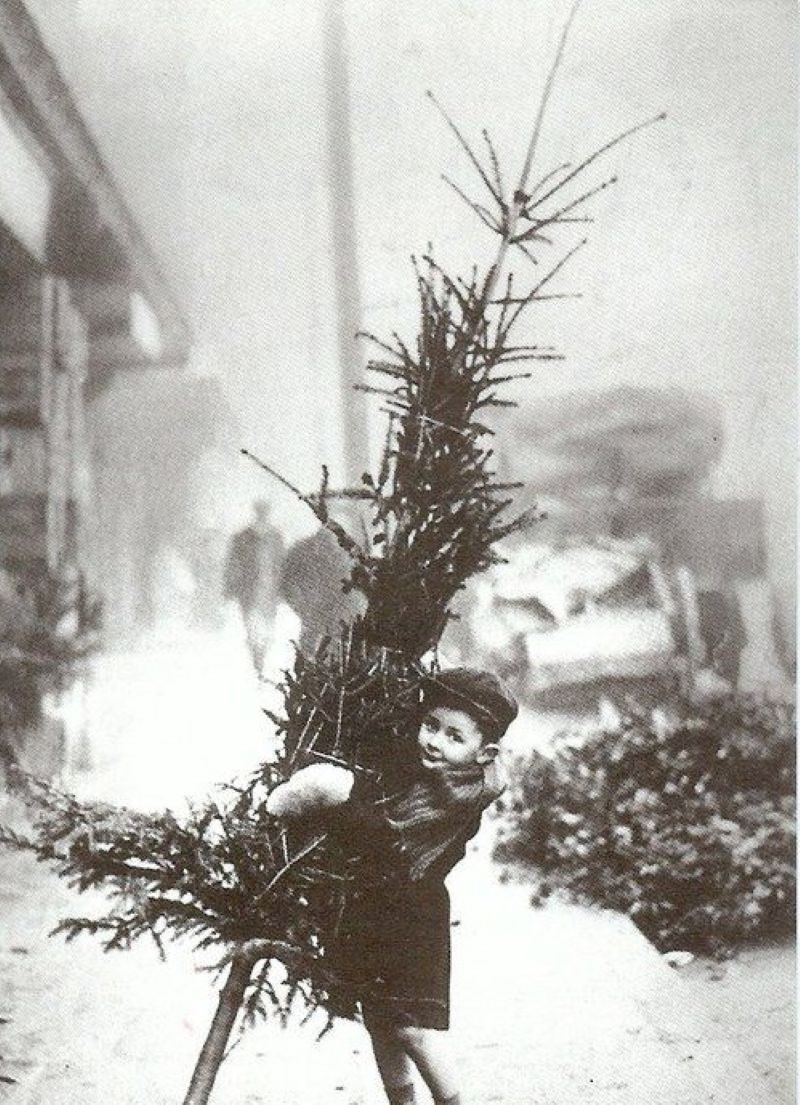 Vintage Christmas/Early 1900's/BOY DRAGGING HOME CHRISTMAS TREE/4X6 B&W Photo Rp