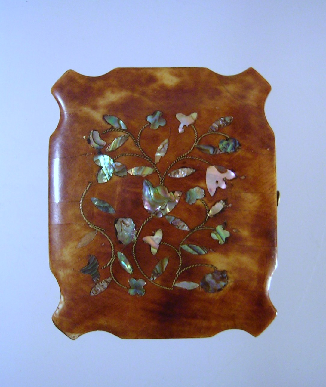 19th c Civil War Era Faux Tortoise Shell MOP Case Photo of Gentleman 1/9 Plate