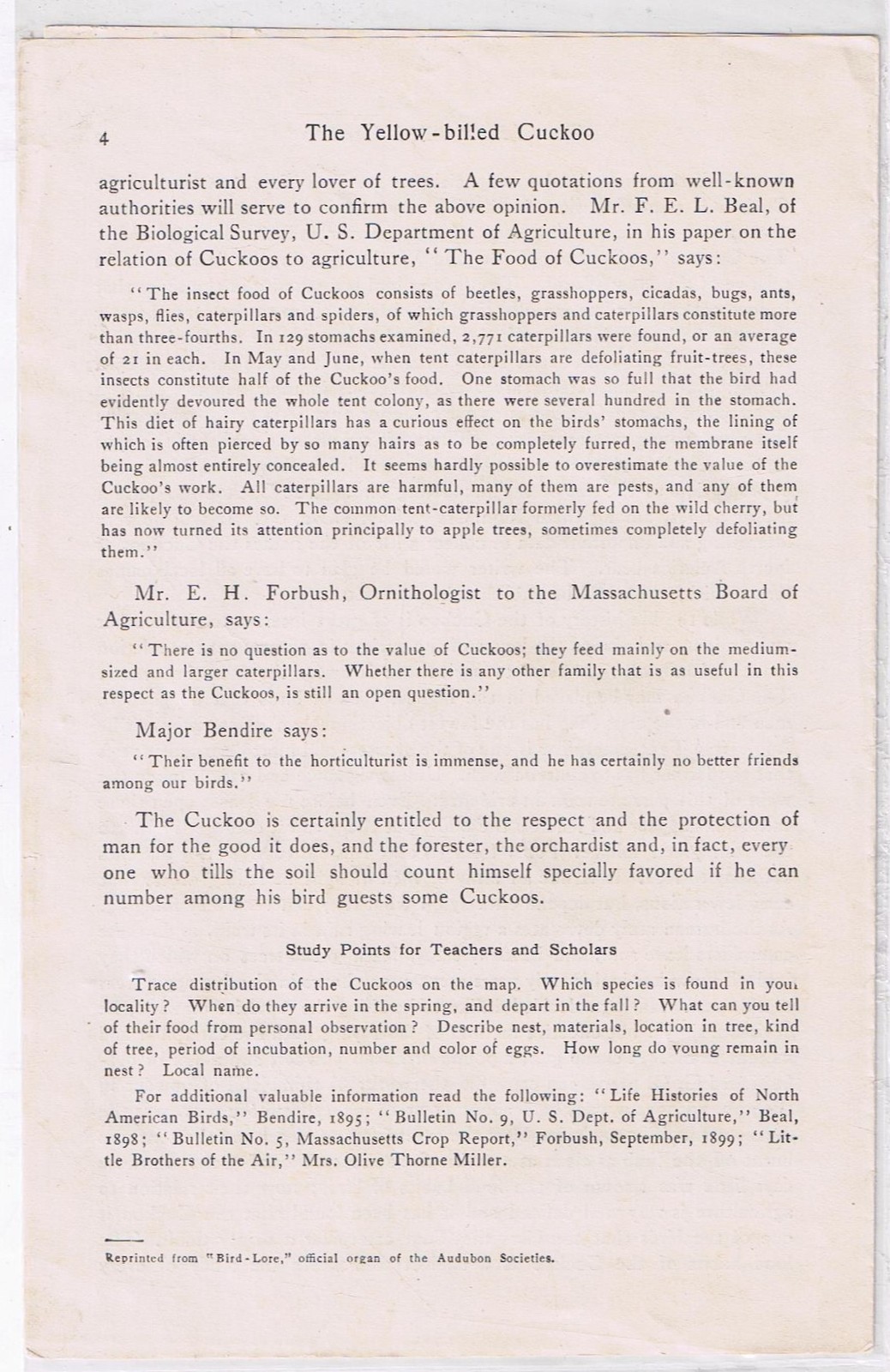 Audubon Society 1908 Special Leaflet No 10 Putting Up Bird Boxes