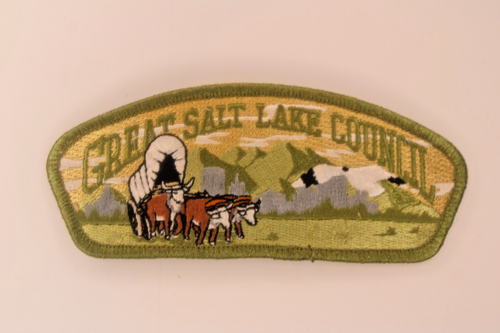 Great Salt Lake Council Shoulder Patch Utah Boy Scouts of America BSA