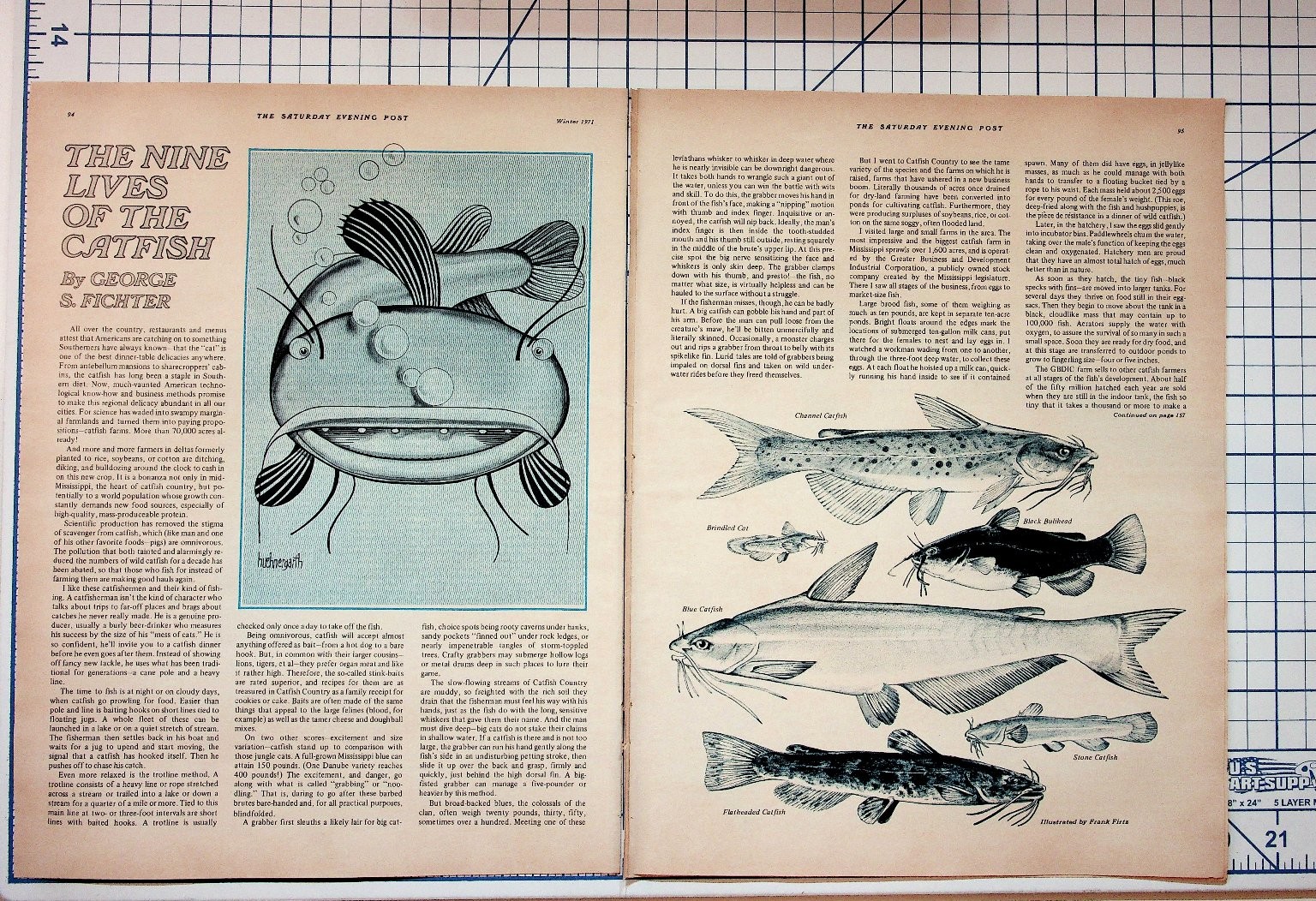 1971 Saturday Evening Post Catfish Farming Article Spread Ephemera