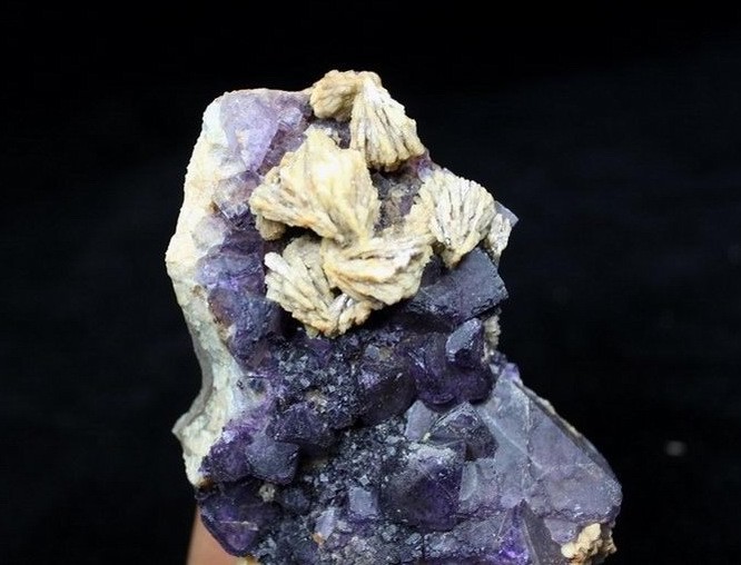 335g 139mm Nice display Barite (Baryte) on Frosty Purple Fluorite CMM633884