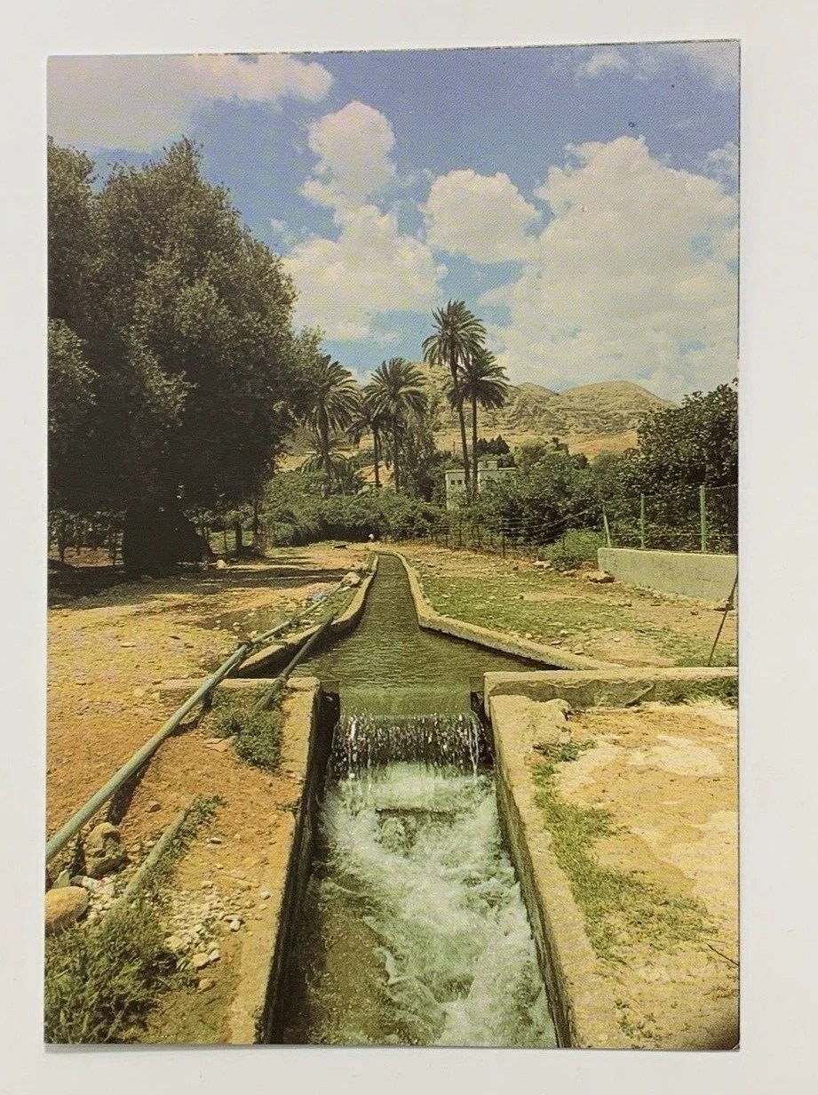 Elisha Spring Jericho Palestine Postcard Ein es-Sultan Phrophets Fountain Unp