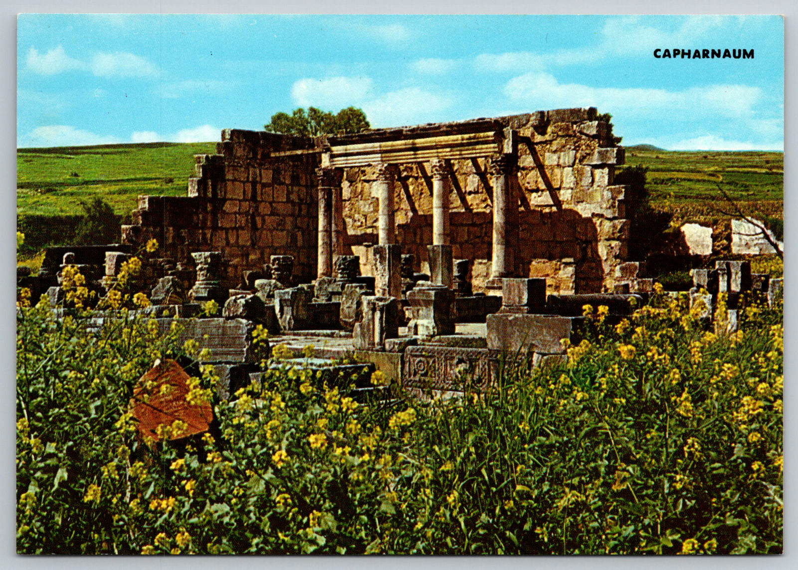 c1980s Capernaum Ruins of the Ancient Synagogue Israel Postcard