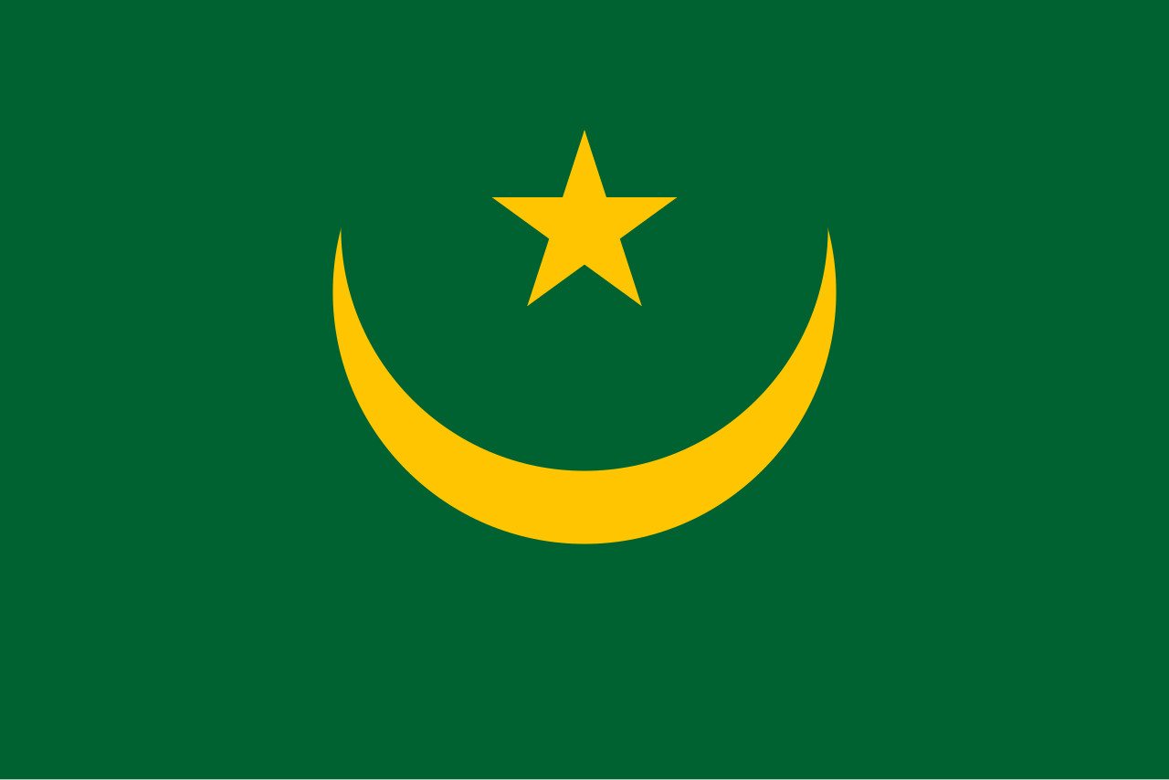 Dettra Annin Flag of Mauritania 3\' x 5\' Dura Lite Nylon Flag 1959–2017