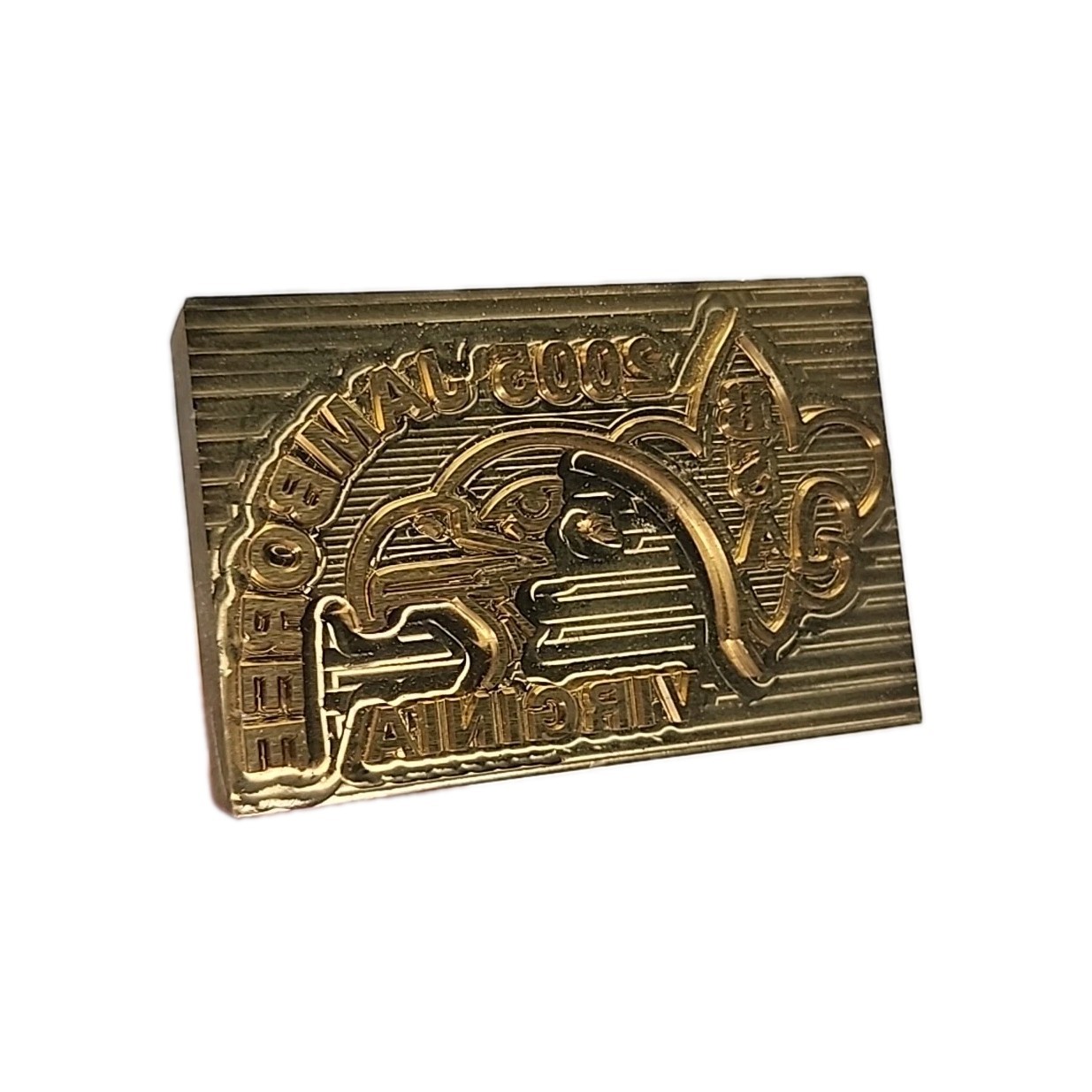 2005 BSA Branding Iron  Approx. 18 inches long Eagle Head Logo Virginia