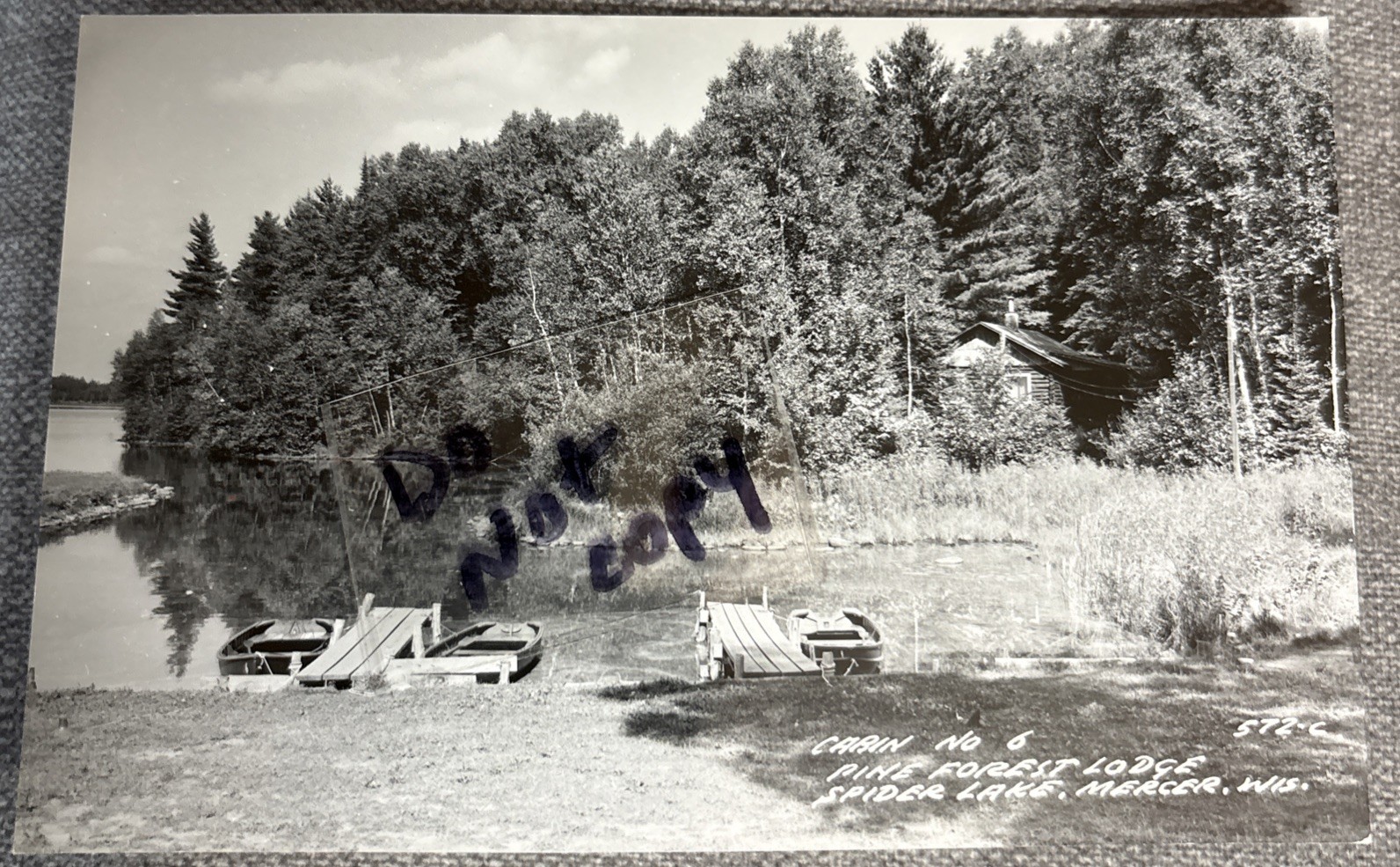 Mercer WI Pine Forest Lodge Cabin 6 Spider Lake Real Photo RP Postcard Wisconsin