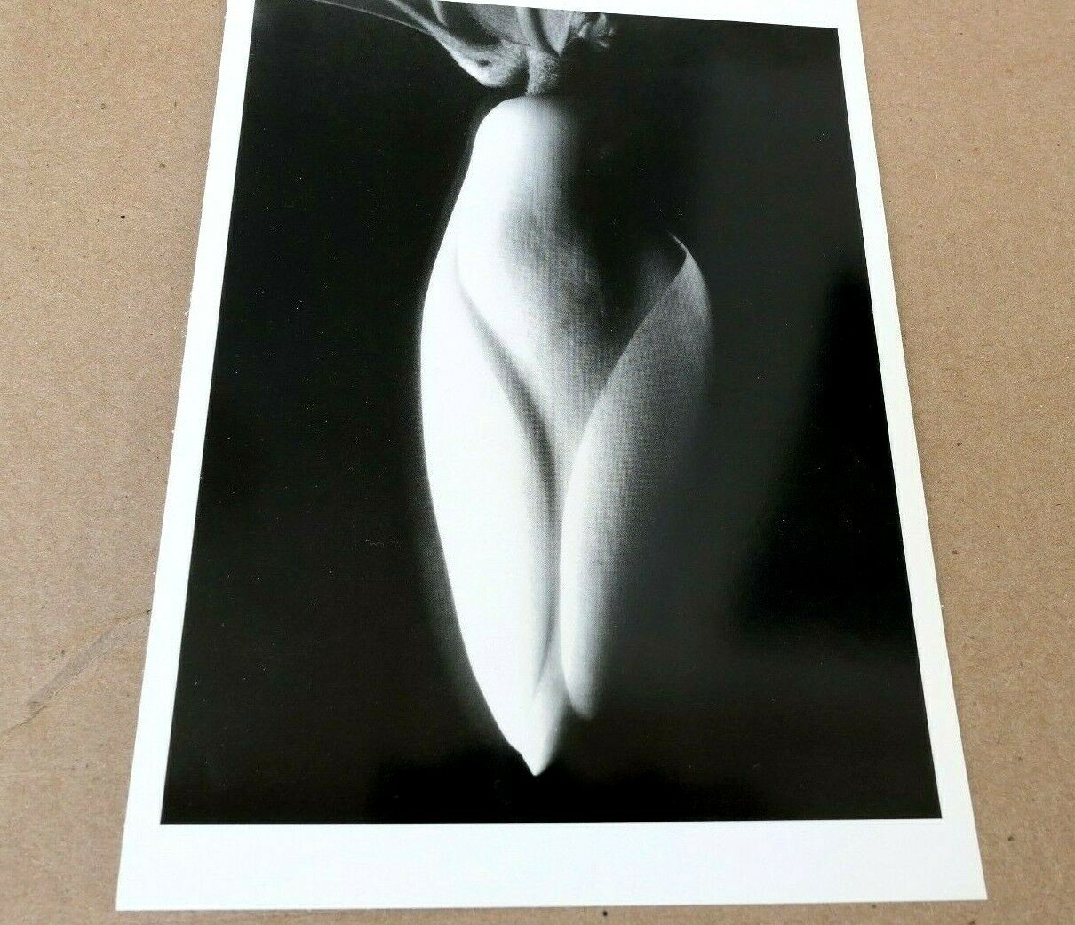 Magnolia Bud 1920 Photograph by Imogen Cunningham POSTCARD IC-1 Floral design