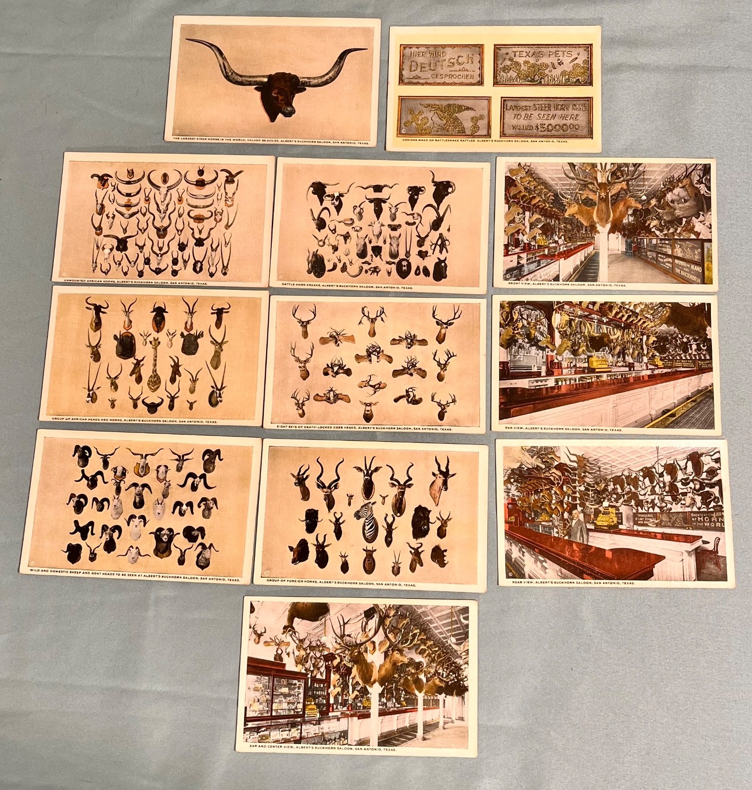 Albert\'s Buckhorn Saloon San Antonio Texas Vintage Postcards Full set of 12 1915