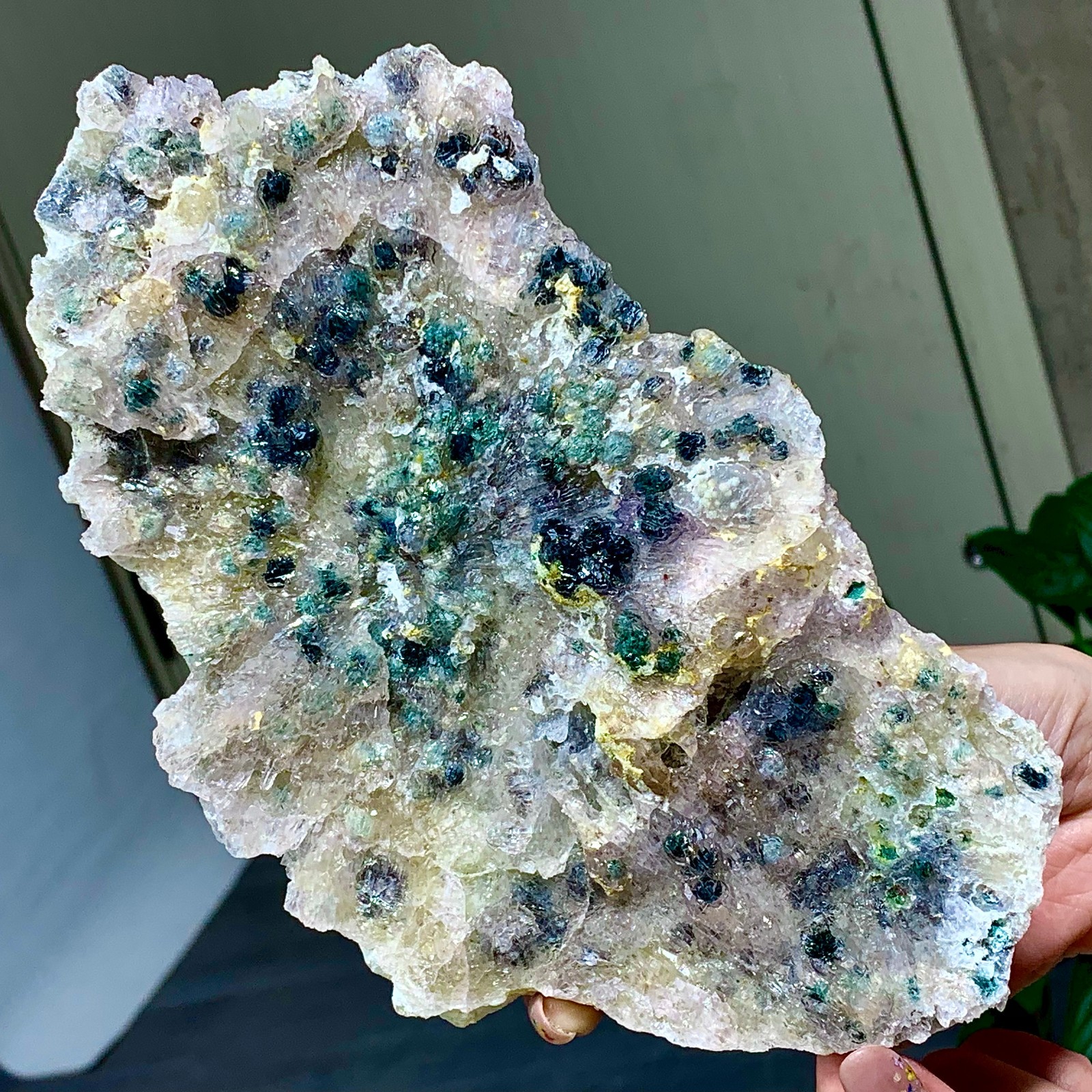 447g  Natural Vision Amethyst quartz cluster crystal druzy mineral specimen