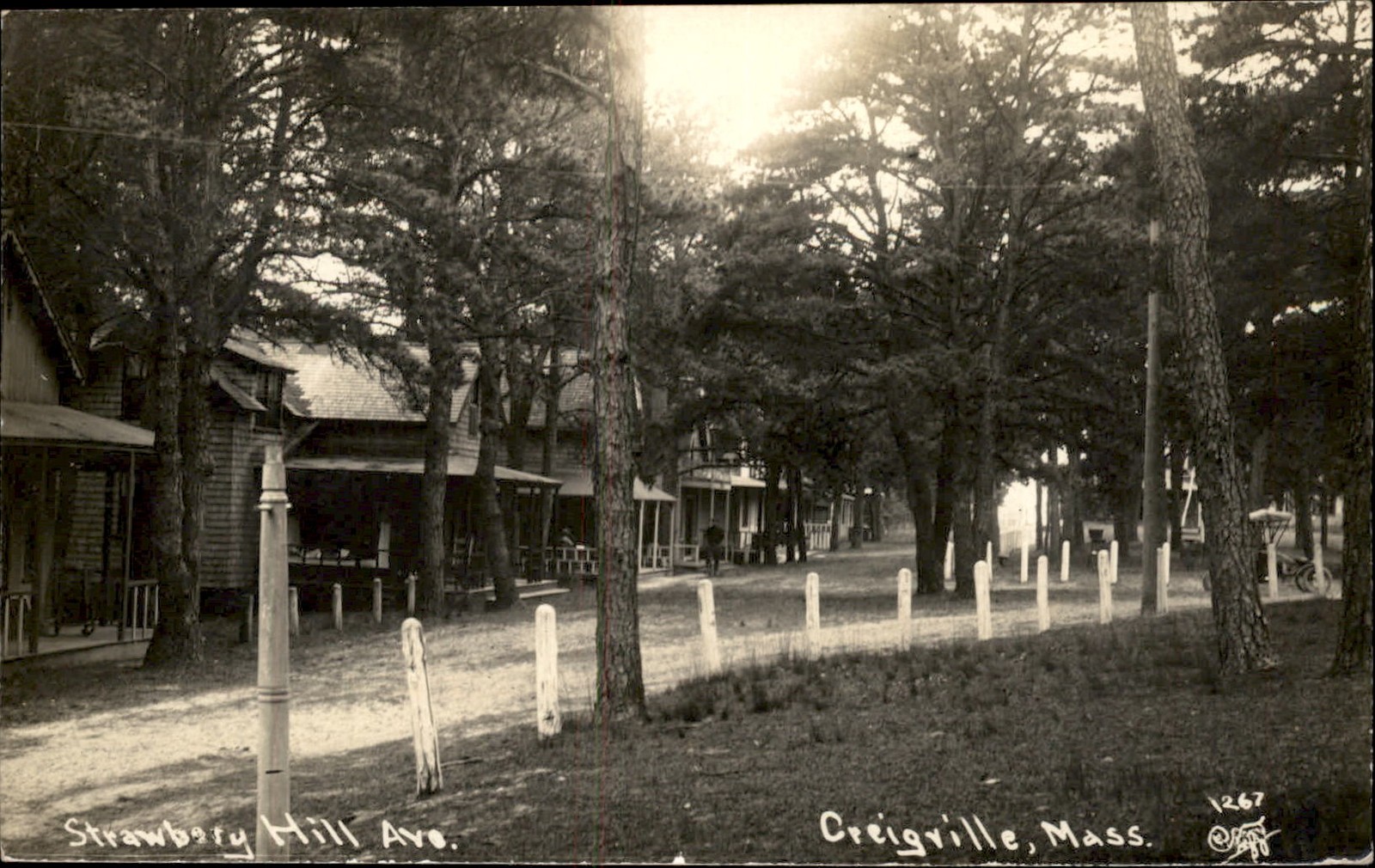 Craigville MA Strawberry Hill Ave. c1909 Real Photo Vintage Postcard