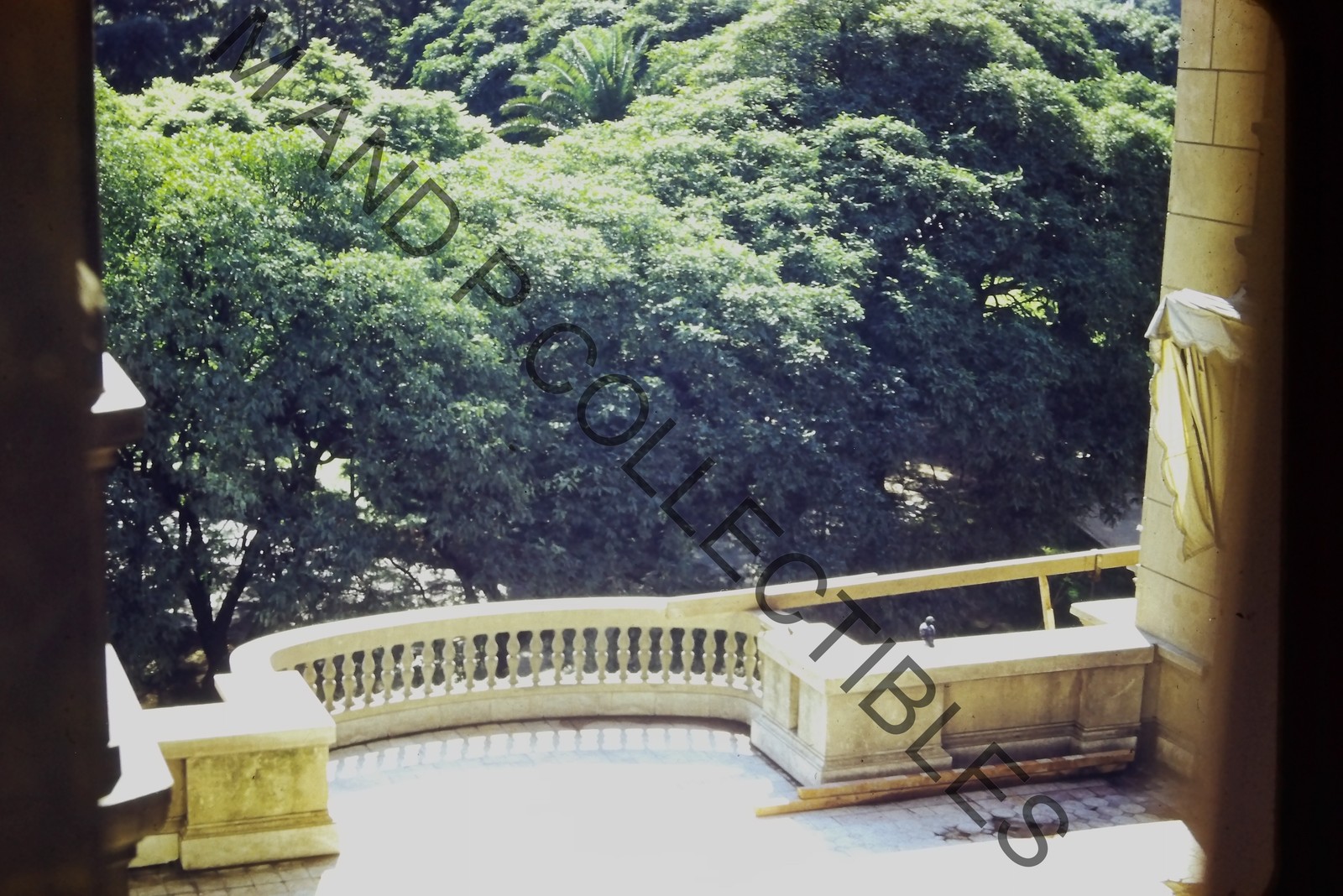 ORIGINAL 35mm Photo Slide Candid Vintage 007119