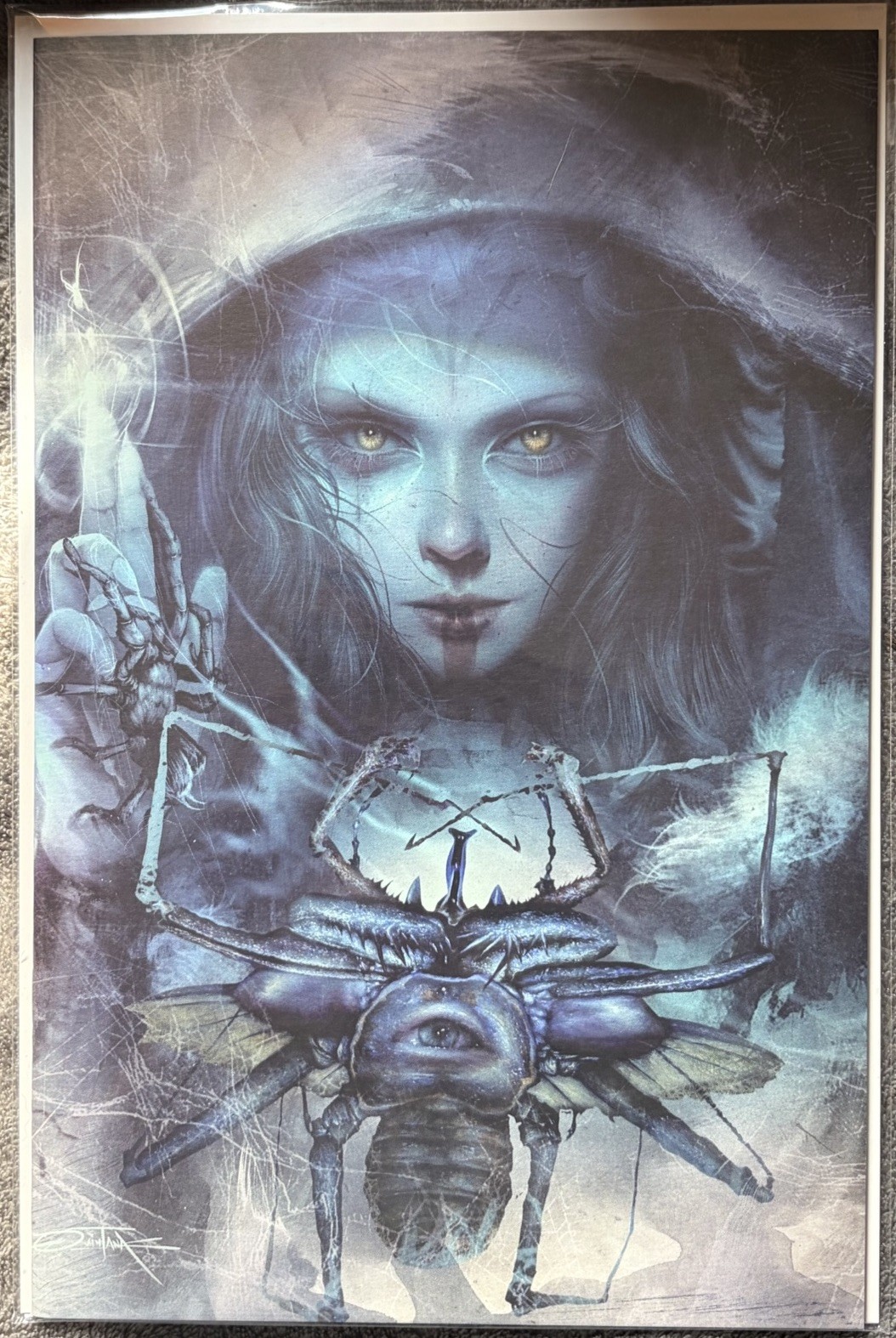 WE DON’T KILL SPIDERS #1 WDKS DAN QUINTANA SPECIAL EDITION LE 700
