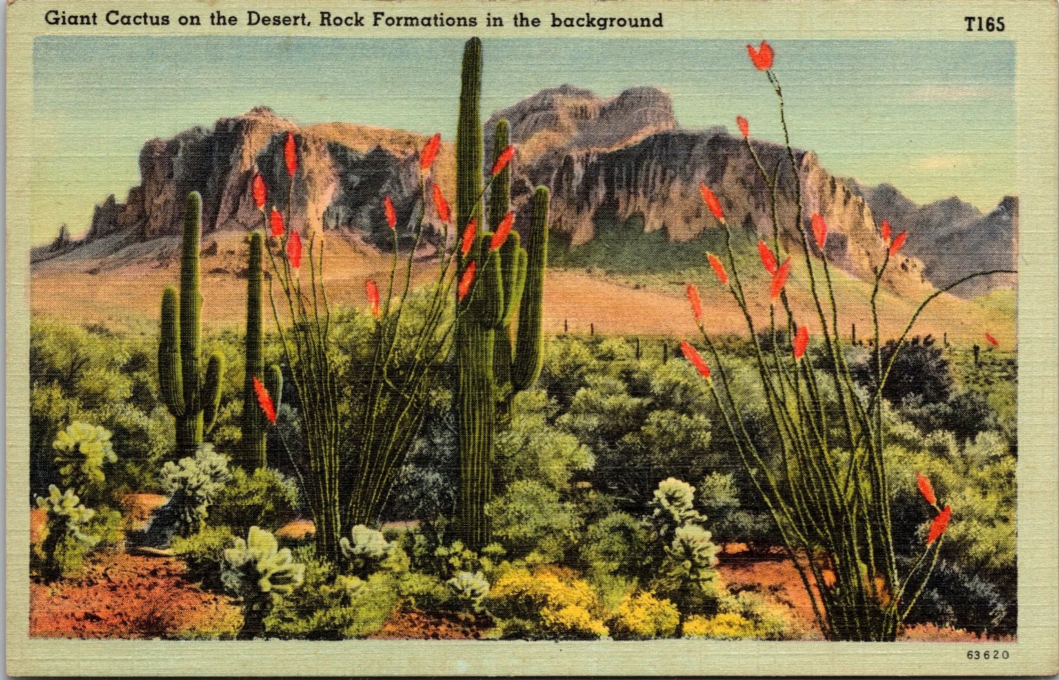 Giant Saguaro Cactus Desert Landscape Rock Formations Linen Postcard T165 Giant Saguaro Cactus Desert Landscape Rock Formations Linen Postcard T165