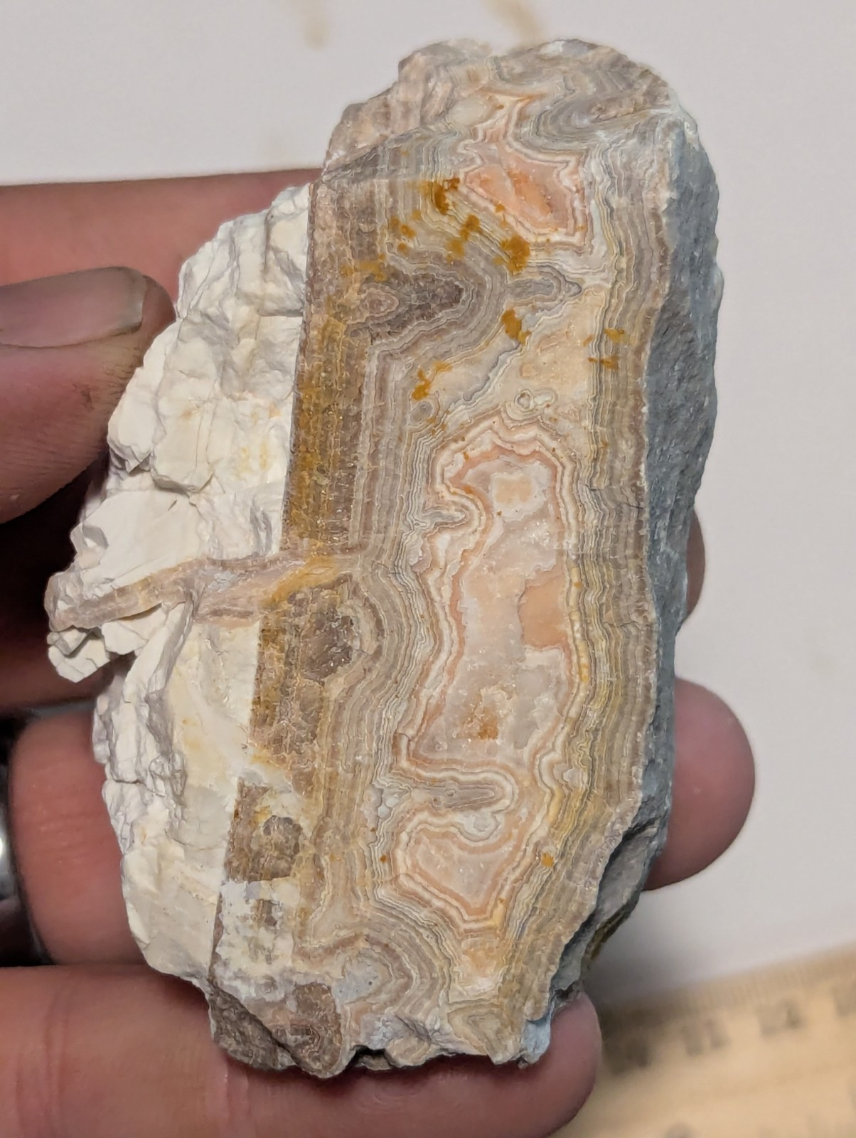 Large Top Quality Crazy Lace Agate Chert Druzy Stone Summerville GA Georgia