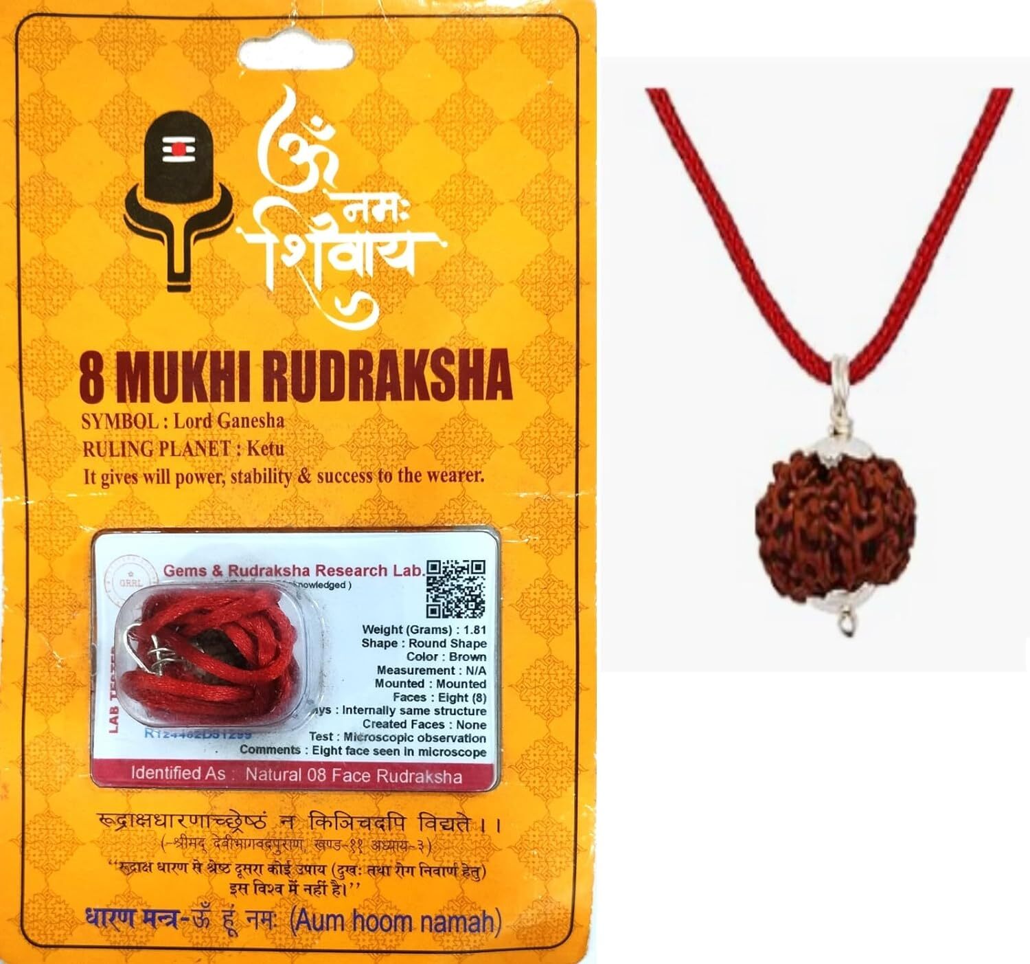 8 Mukhi Rudraksha Original Certified Nepali Rudraksh 10 MM with Pandent Pack 1