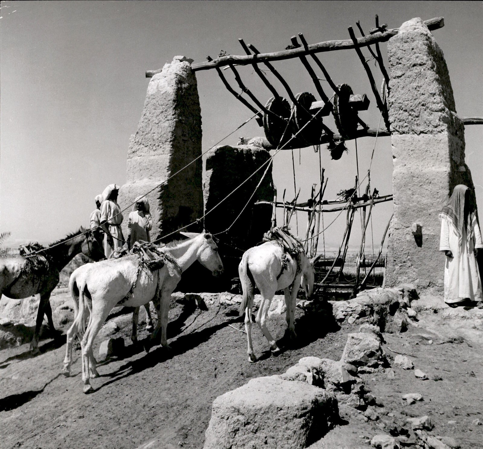 LD346 Original Photo AL KHARJ NAJD DONKEY WELL SAUDI ARABIA EXPERIMENTAL FARM