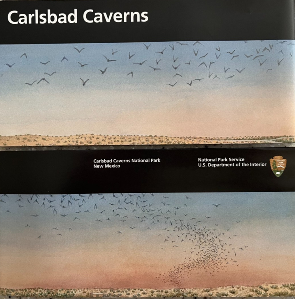 CARLSBAD CAVERNS NP - NM  NATIONAL PARK SERVICE UNIGRID BROCHURE/MAP  New
