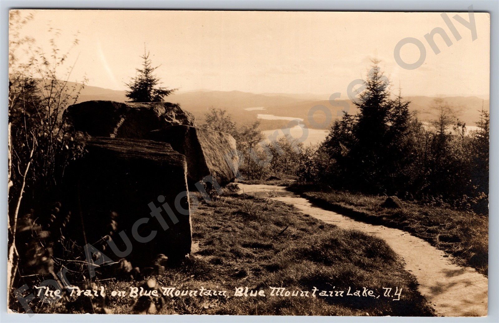 Blue Mountain Lake, NY: RPPC The Trail on Blue Mountain vtg New York Postcard