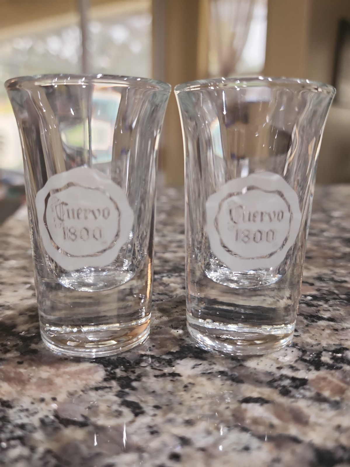 Pair of 2 Cuervo 1800 Tequila Frosted Logo Shot Glasses