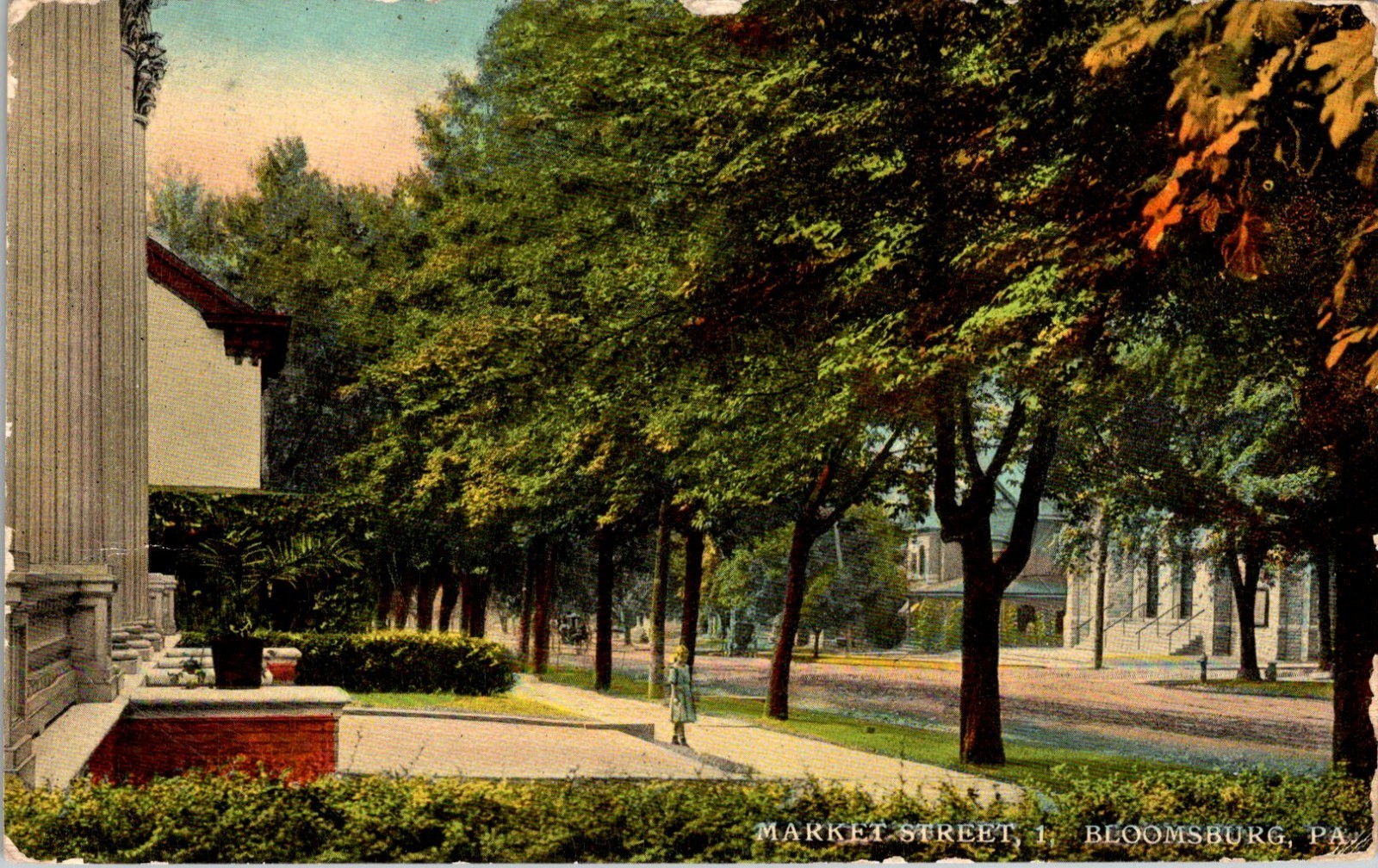 Bloomsburg PA Market Street Tree Lined Avenue Printed Postcard 1914 Posted