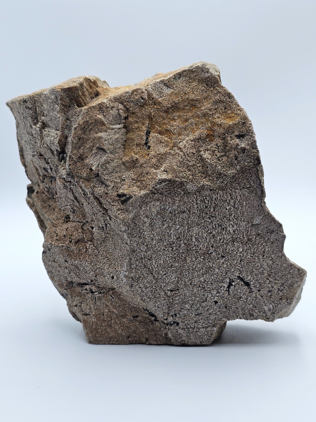 Graphic granite / Graphic pegmatite 1610 g. With polished side, Volodar deposit