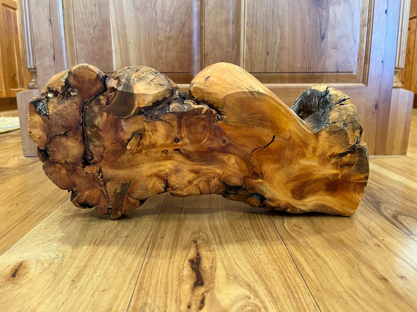 12-Pound Burl 18 x 8 x 6.5 12-Pound Burl 18 x 8 x 6.5