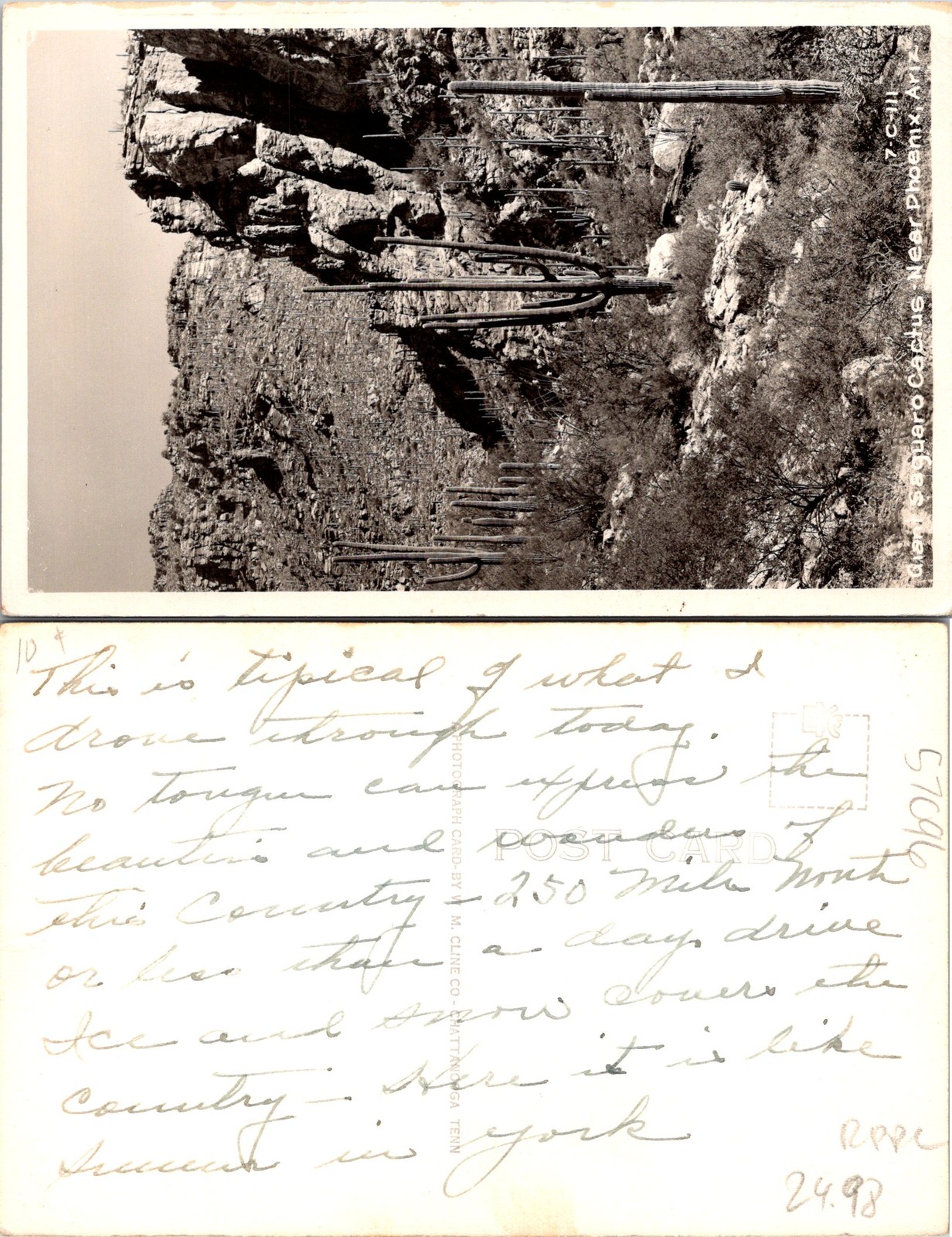 Phoenix AZ. Giant Saguaro Cactus RPPC Black And White Postcard 57096