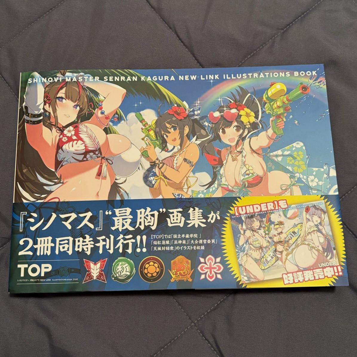 Hobby JAPAN Senran Kagura SHINOVI MASTER New Link Illustrations Book TOP Version