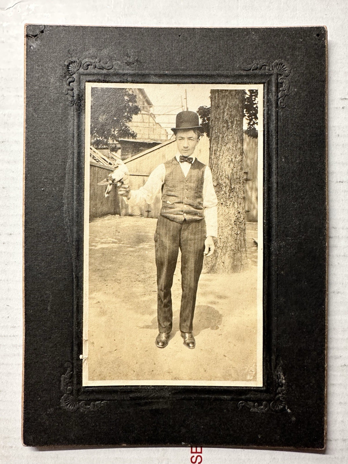 1900s Photograph Man with Carrier Homing Pigeon Bird