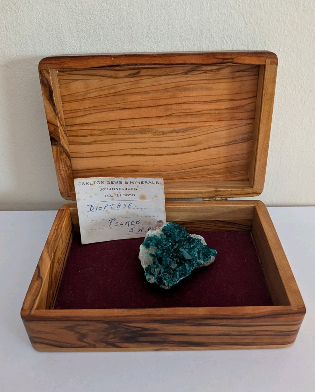 Dioptase Crystal Cluster Tsumeb Mine Namibia 