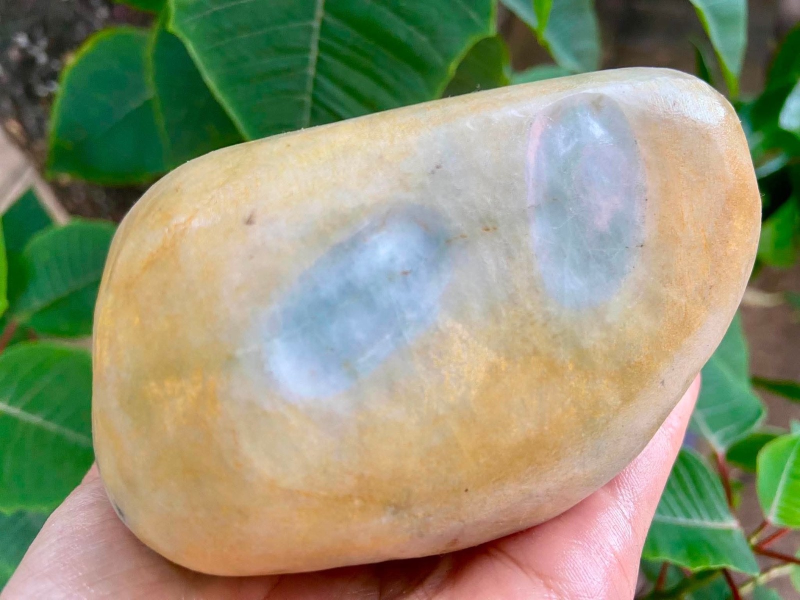 Authentic Burmese Raw Jade Rough Stone – 1.1 kg – Natural Jadeite from Myanmar –