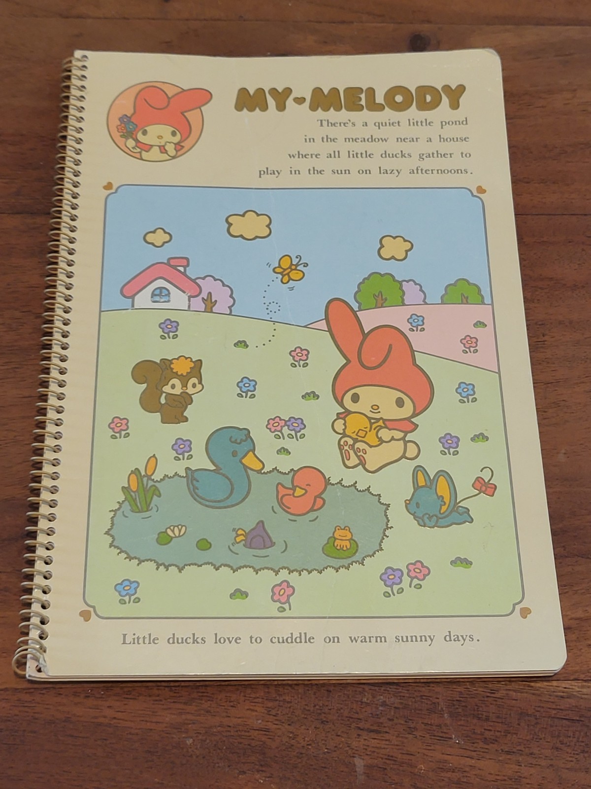 Rare Pinterest Sanrio My Melody and Friend Spiral Notebook Vintage 1976 Japan