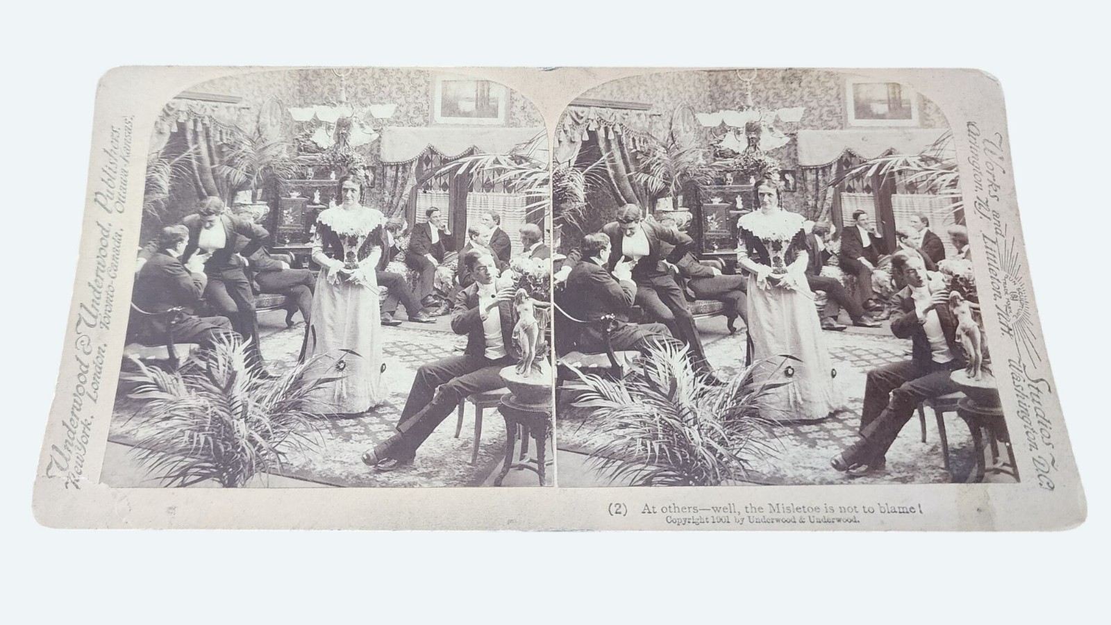 Antique 1901 Underwood Stereoview At Others-Well The Mistletoe Is Not To Blame