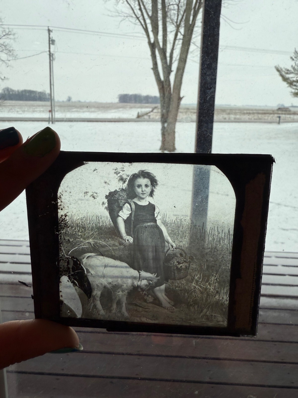 Antique Magic Lantern Glass Slide With Pastoral Scene Of Girl & Goat
