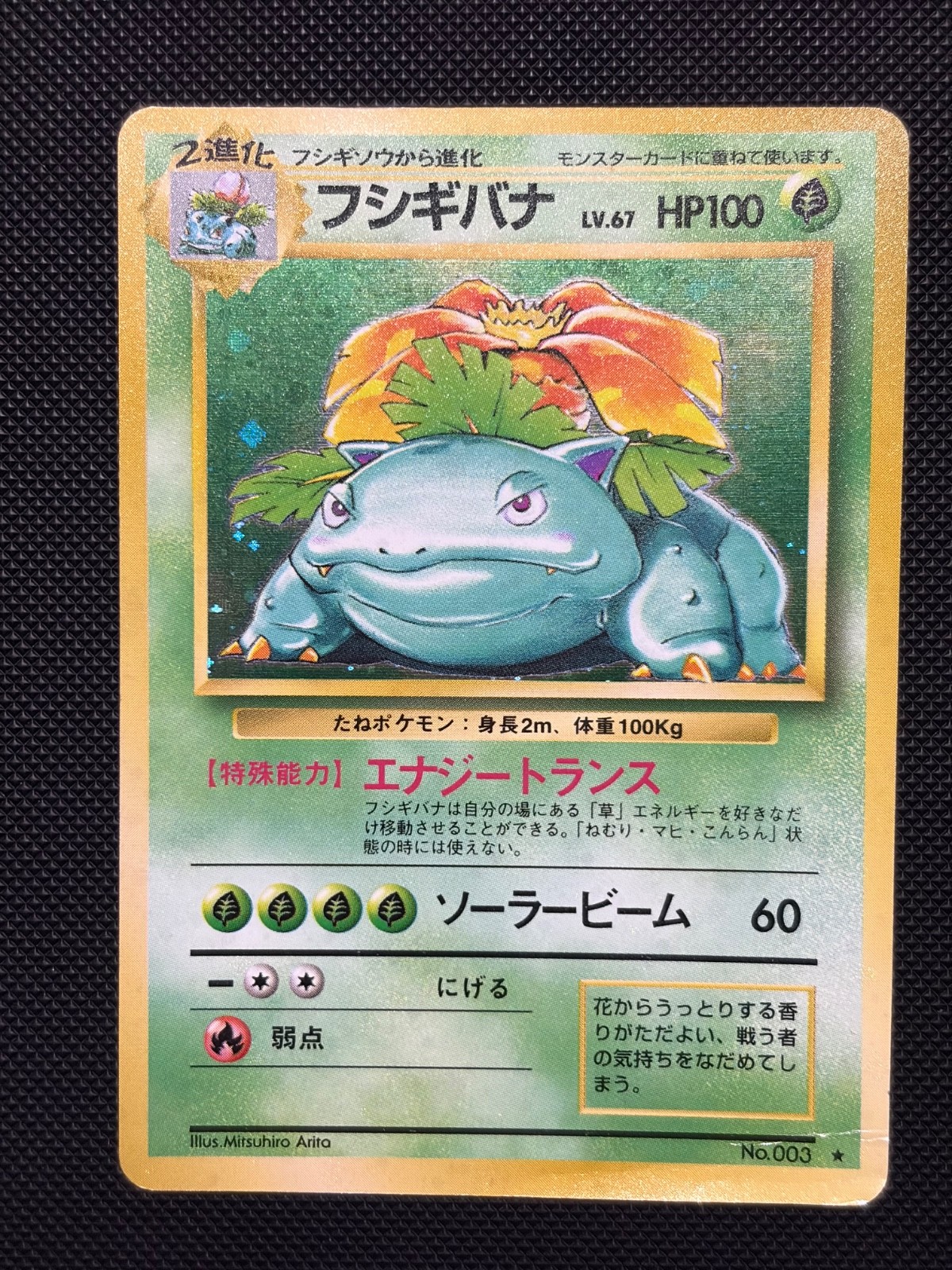 Venusaur Expansion Pack Holo (Japanese Base Set)