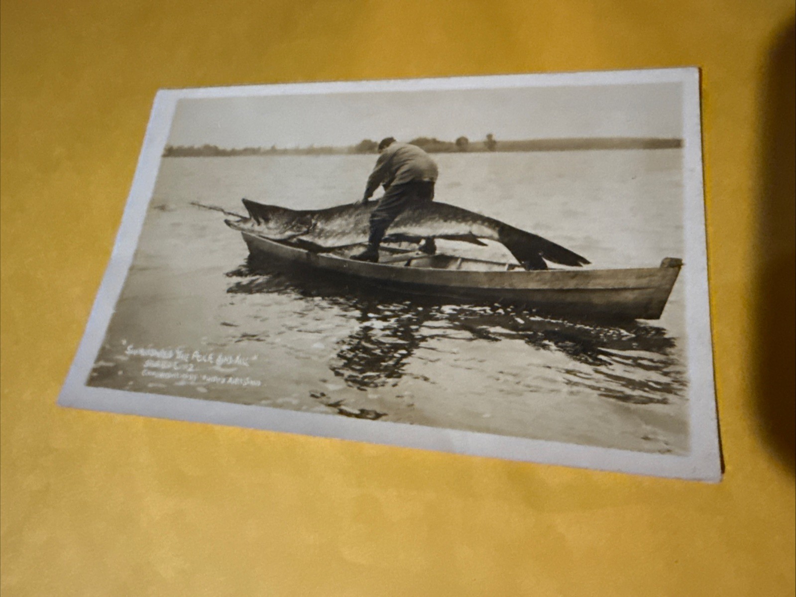 RPPC Exaggeration \